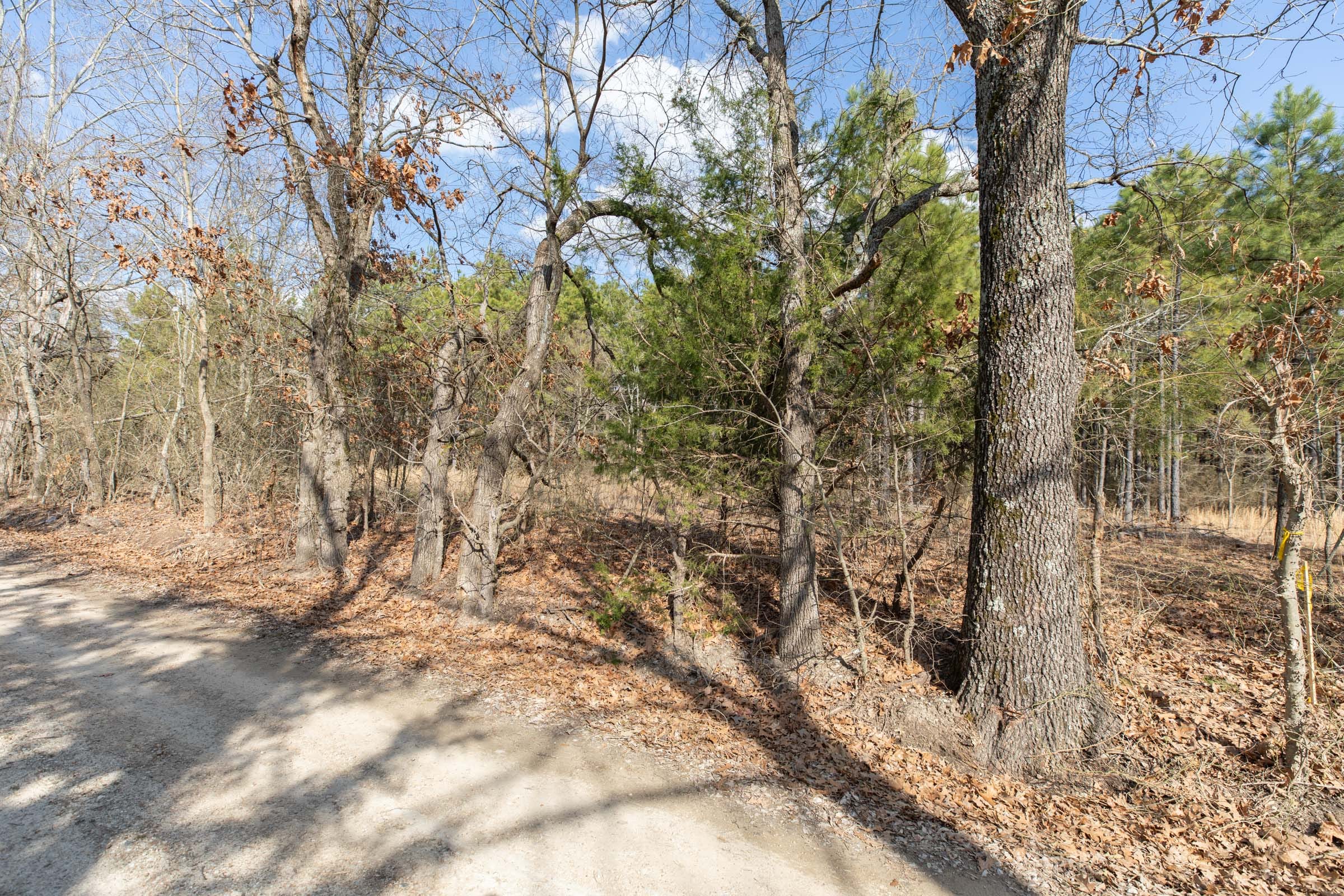 Wishing Star Ranch Tract 44 photo 11