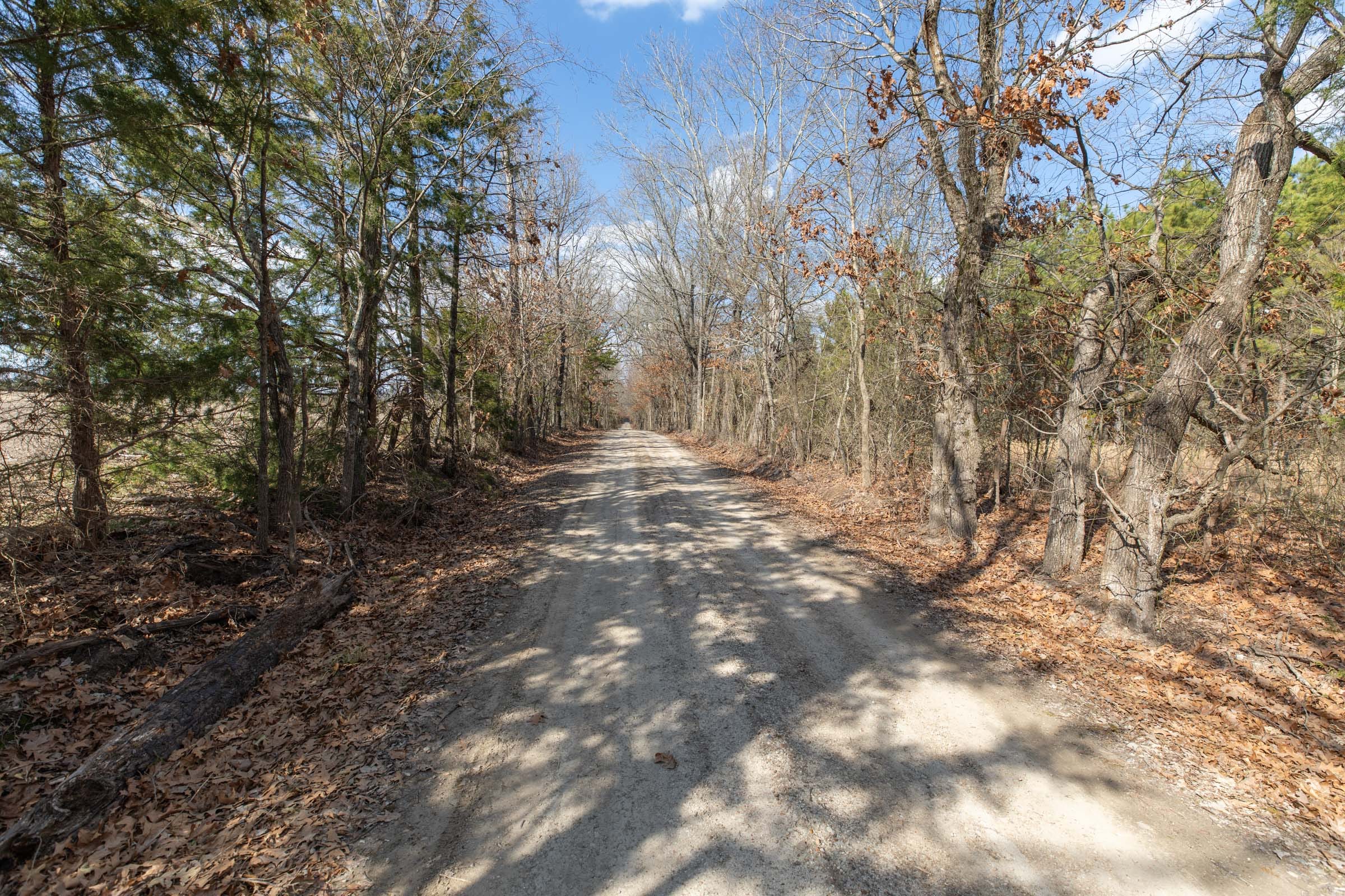 Wishing Star Ranch Tract 44 photo 6