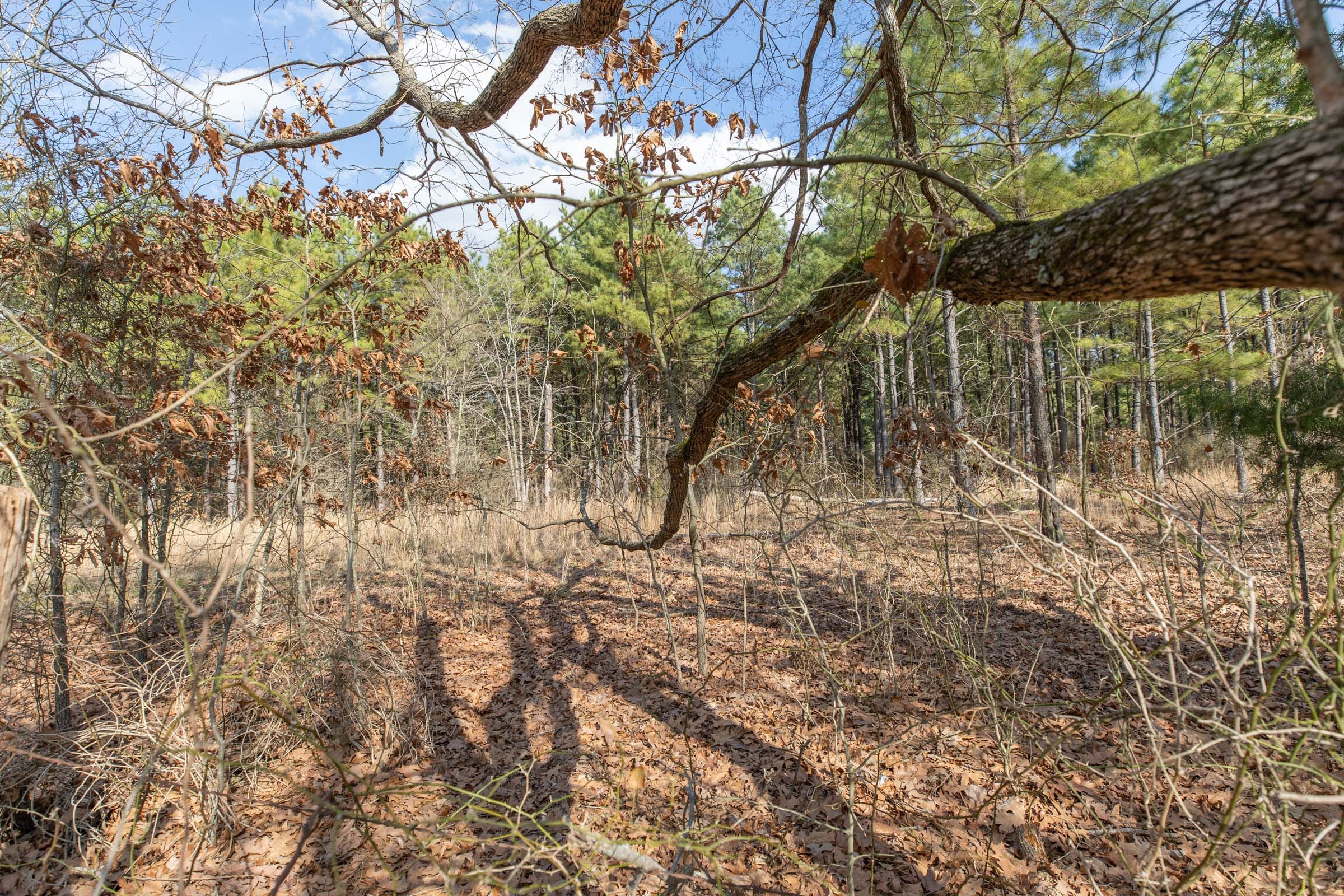Wishing Star Ranch Tract 44 photo 3
