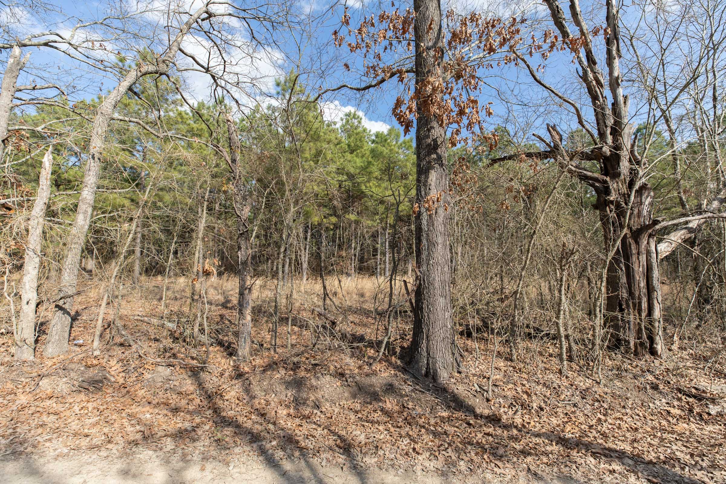 Wishing Star Ranch Tract 44 photo 4