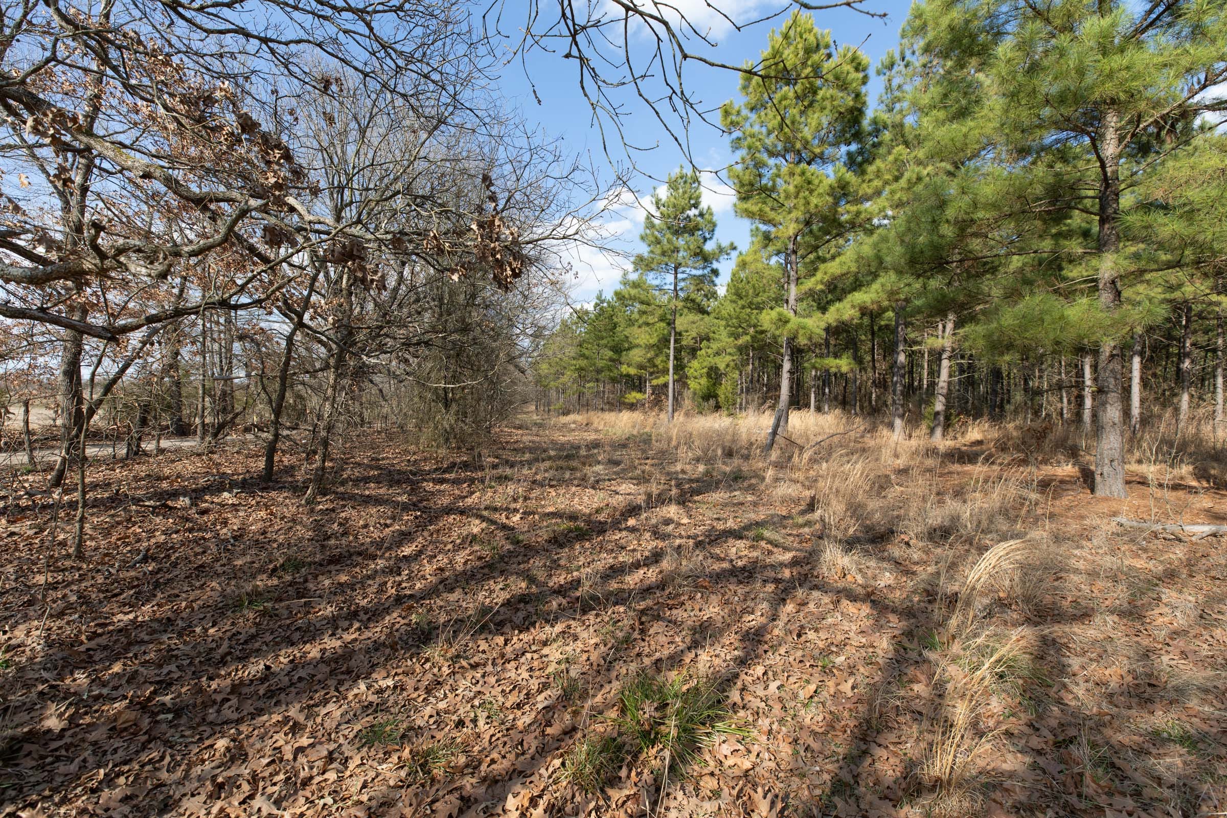 Wishing Star Ranch Tract 44 photo 7