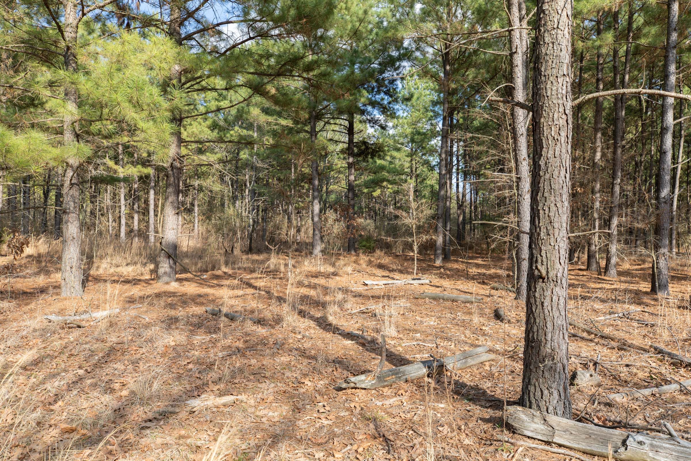 Wishing Star Ranch Tract 44 photo 8