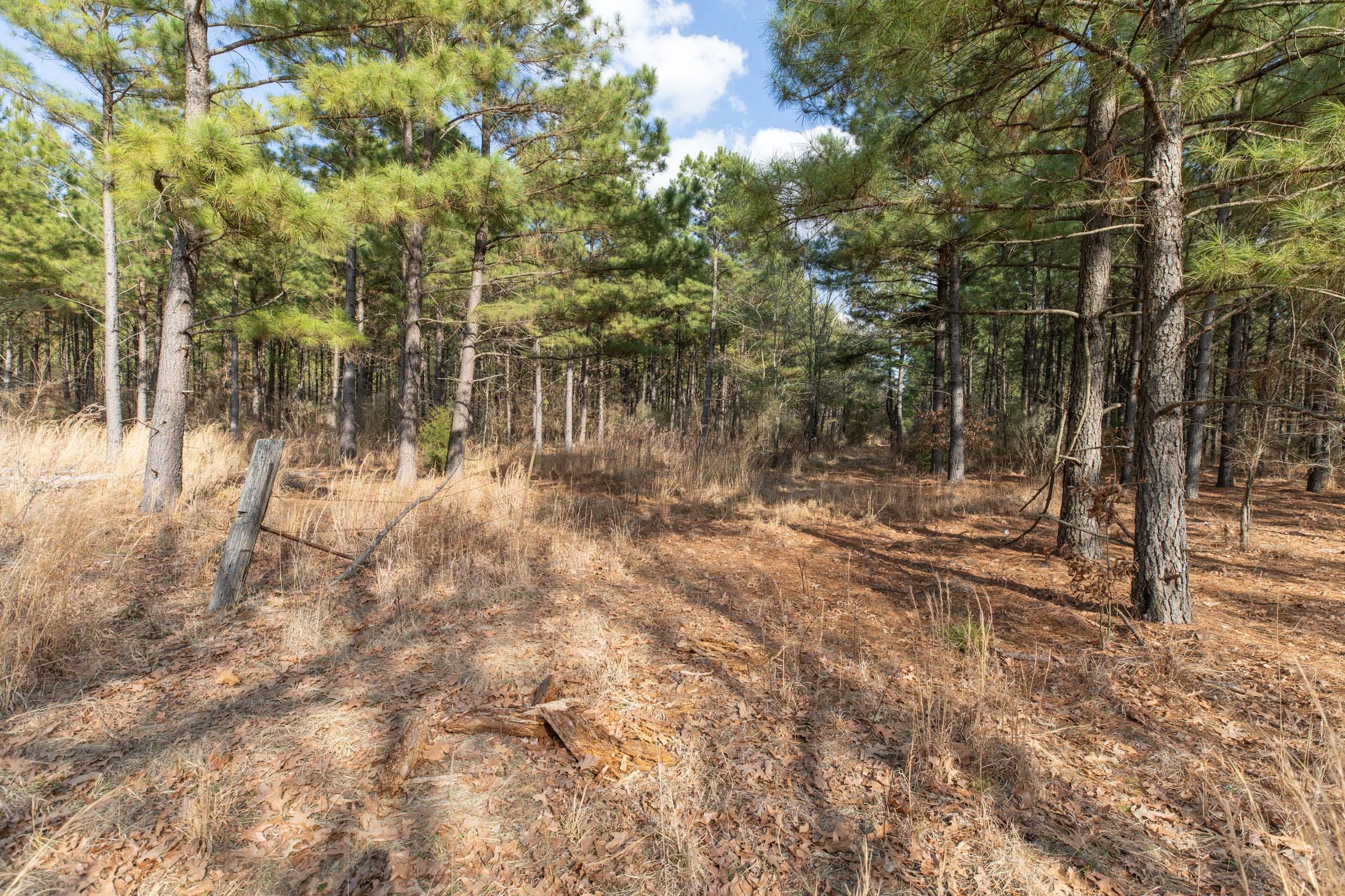 Wishing Star Ranch Tract 44 photo 9