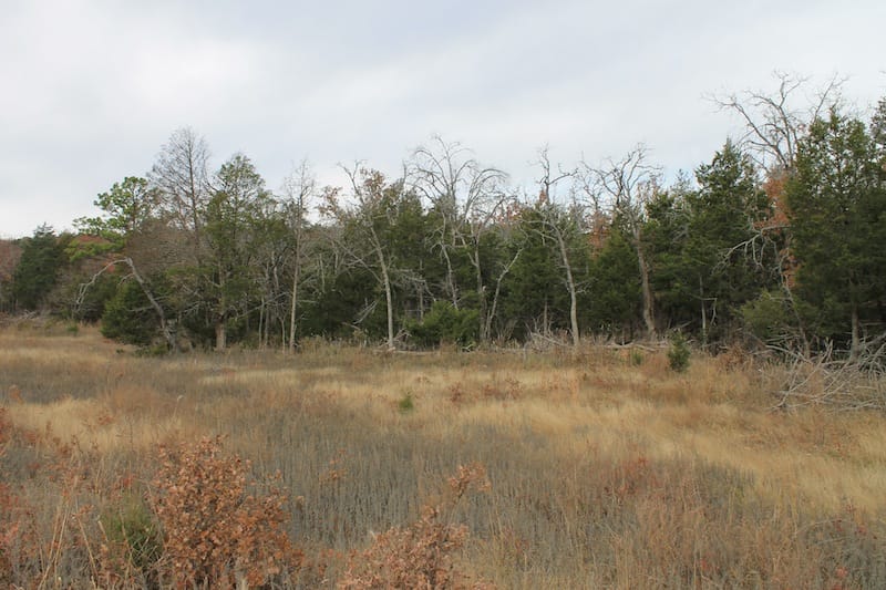 Indian Ridge – Phase I Tract 22 photo 3