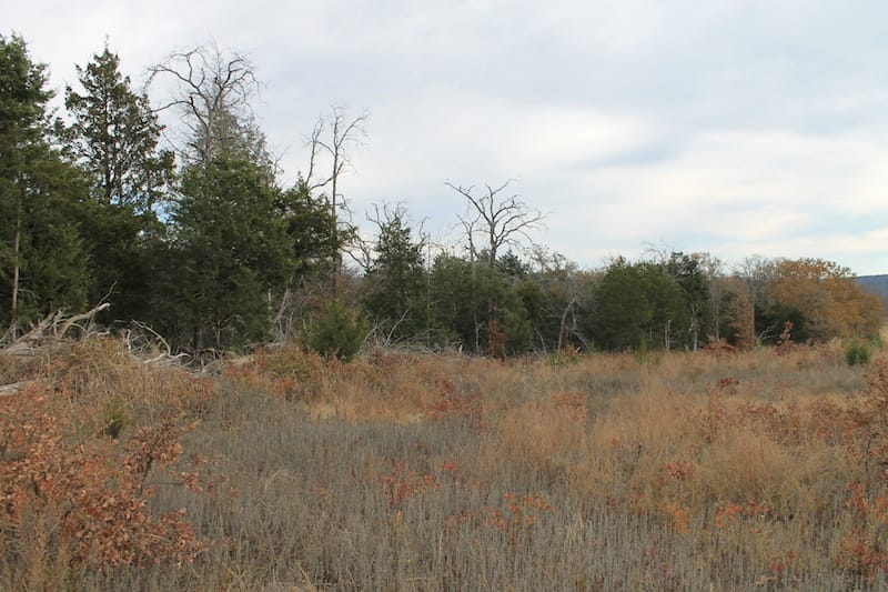 Indian Ridge – Phase I Tract 22 photo 4