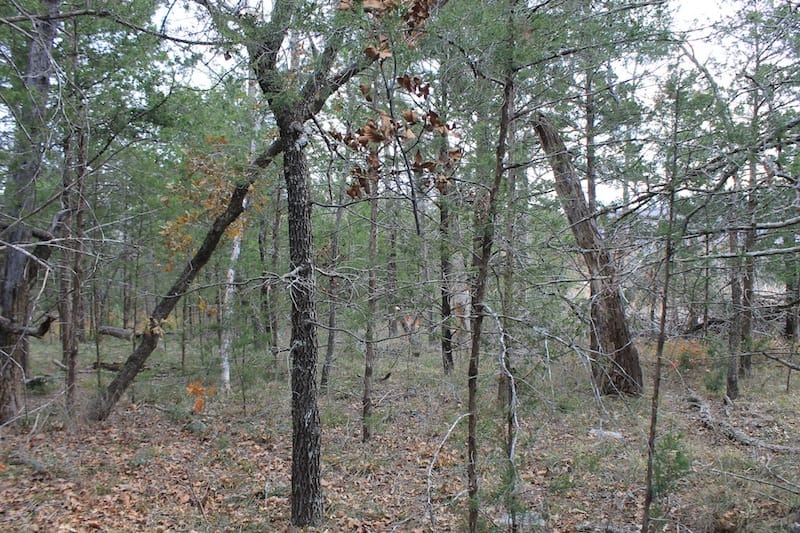 Indian Ridge – Phase I Tract 22 photo 5