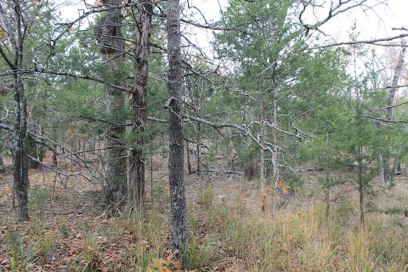 Indian Ridge – Phase I Tract 22 photo 6
