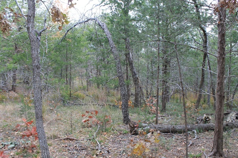 Indian Ridge – Phase I Tract 22 photo 7