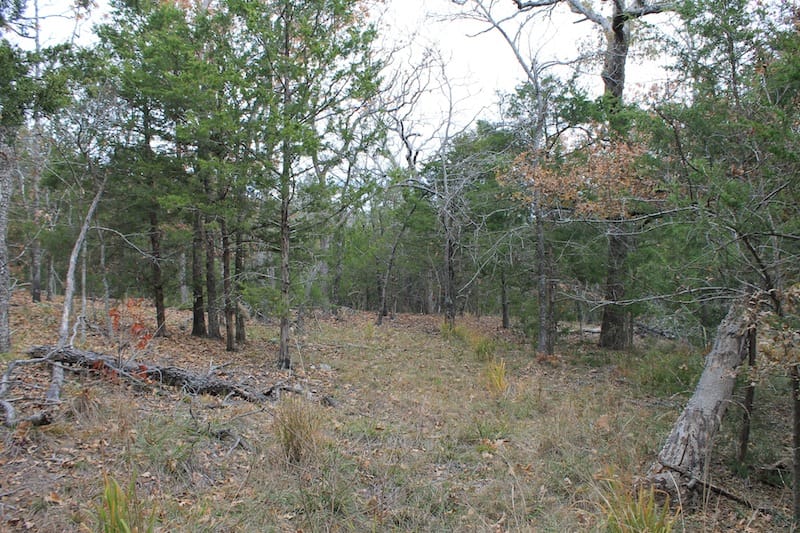 Indian Ridge – Phase I Tract 22 photo 9