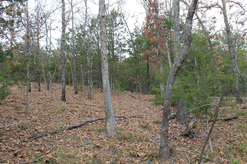 Indian Ridge – Phase I Tract 22 photo 10