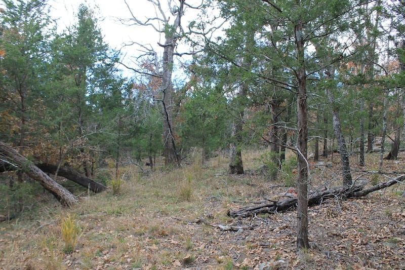 Indian Ridge – Phase I Tract 22 photo 11