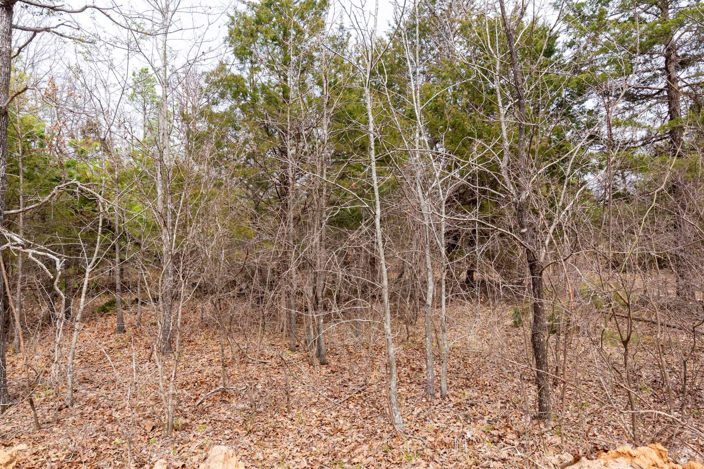 Stone Bridge Phase III Tract 152 photo 6