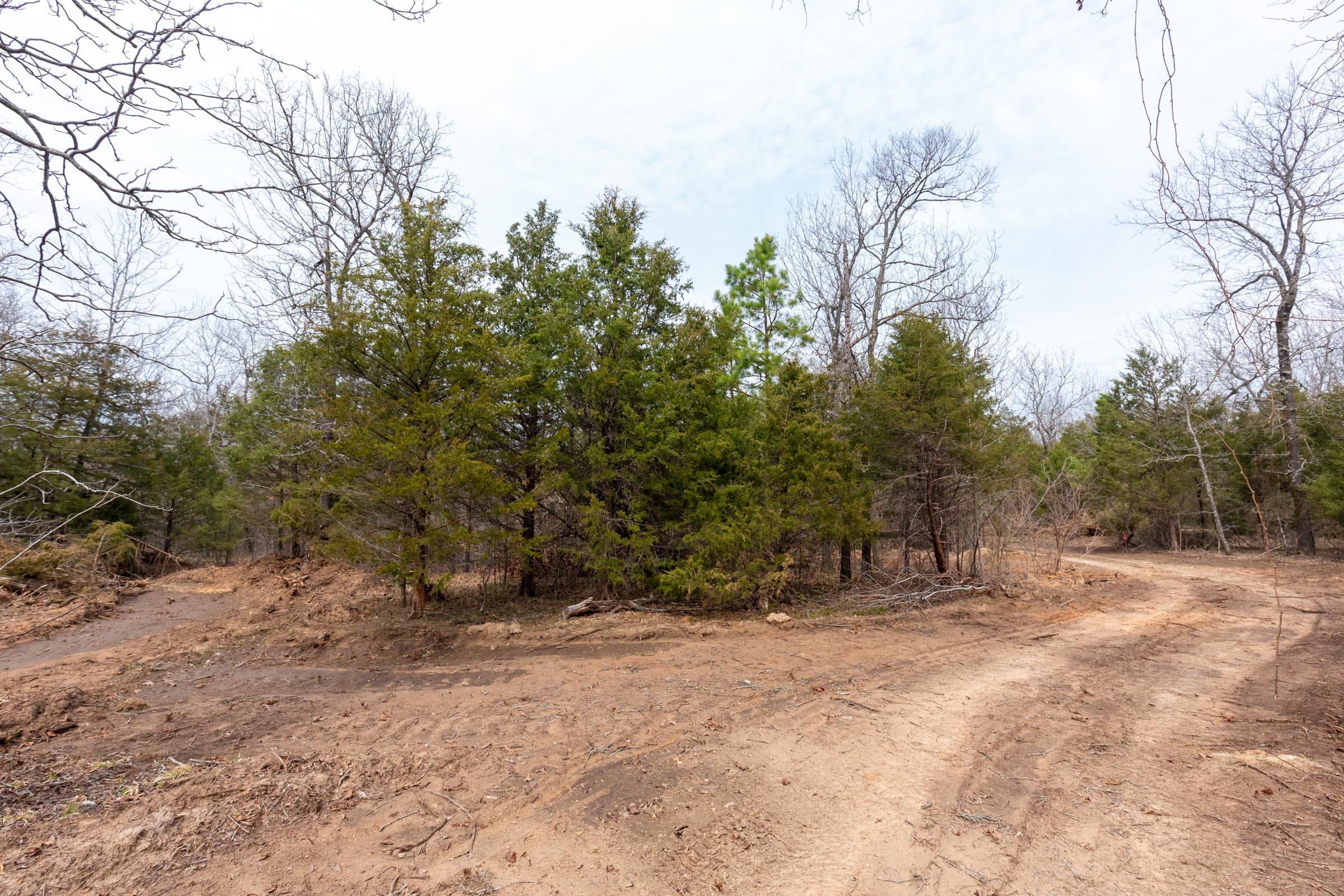 Stone Bridge Phase III Tract 152 photo 2