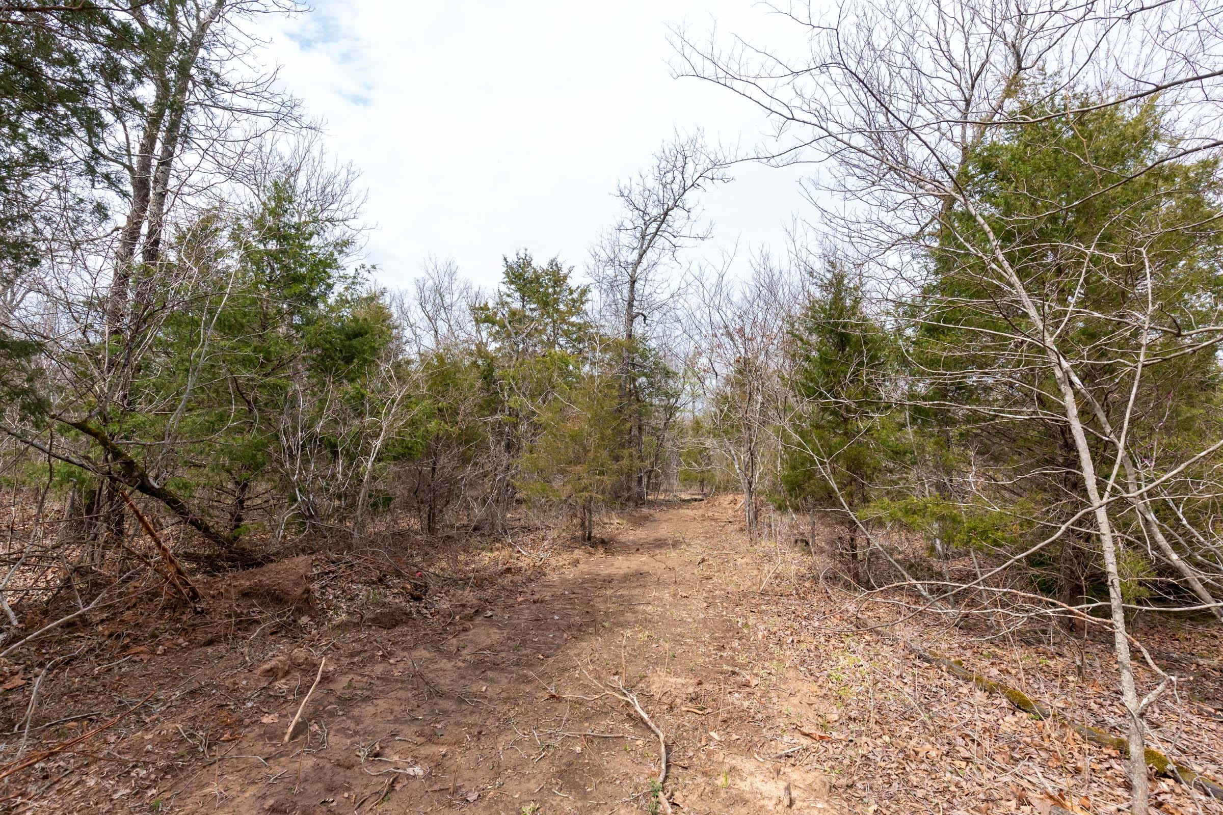 Stone Bridge Phase III Tract 152 photo 7