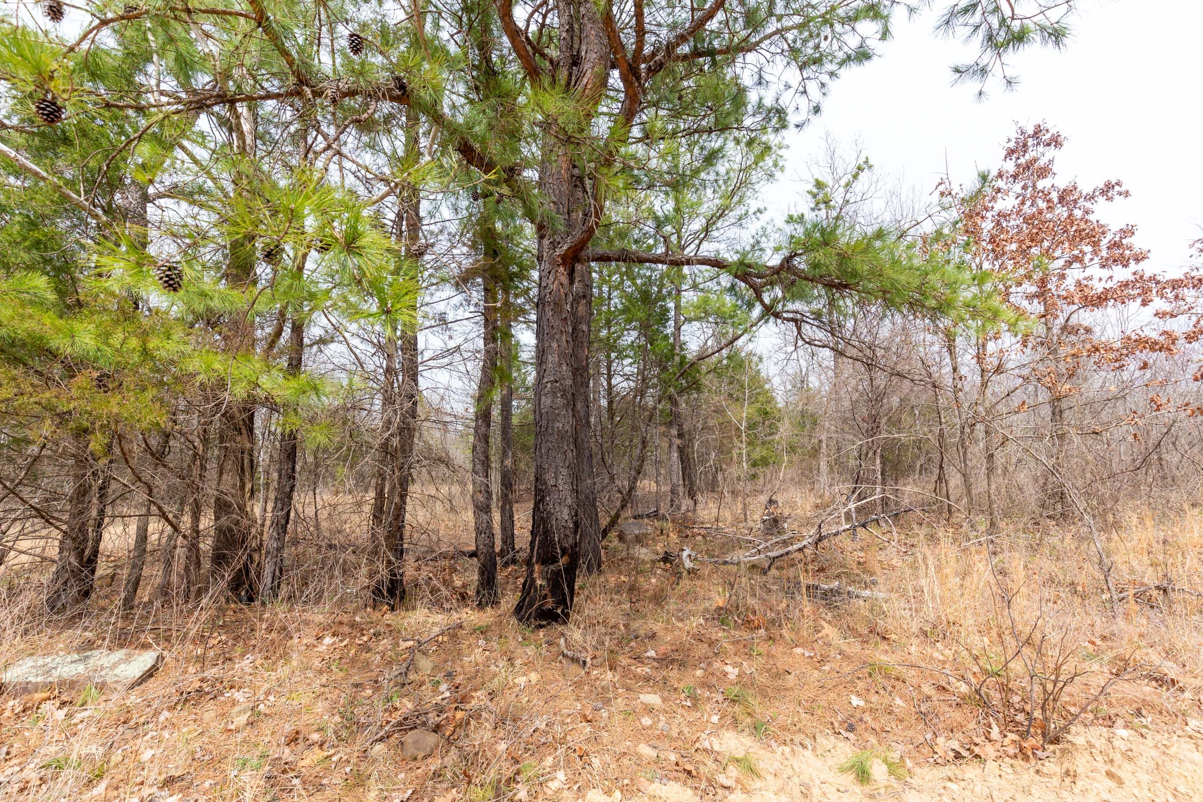 Stone Bridge Phase III Tract 152 photo 5
