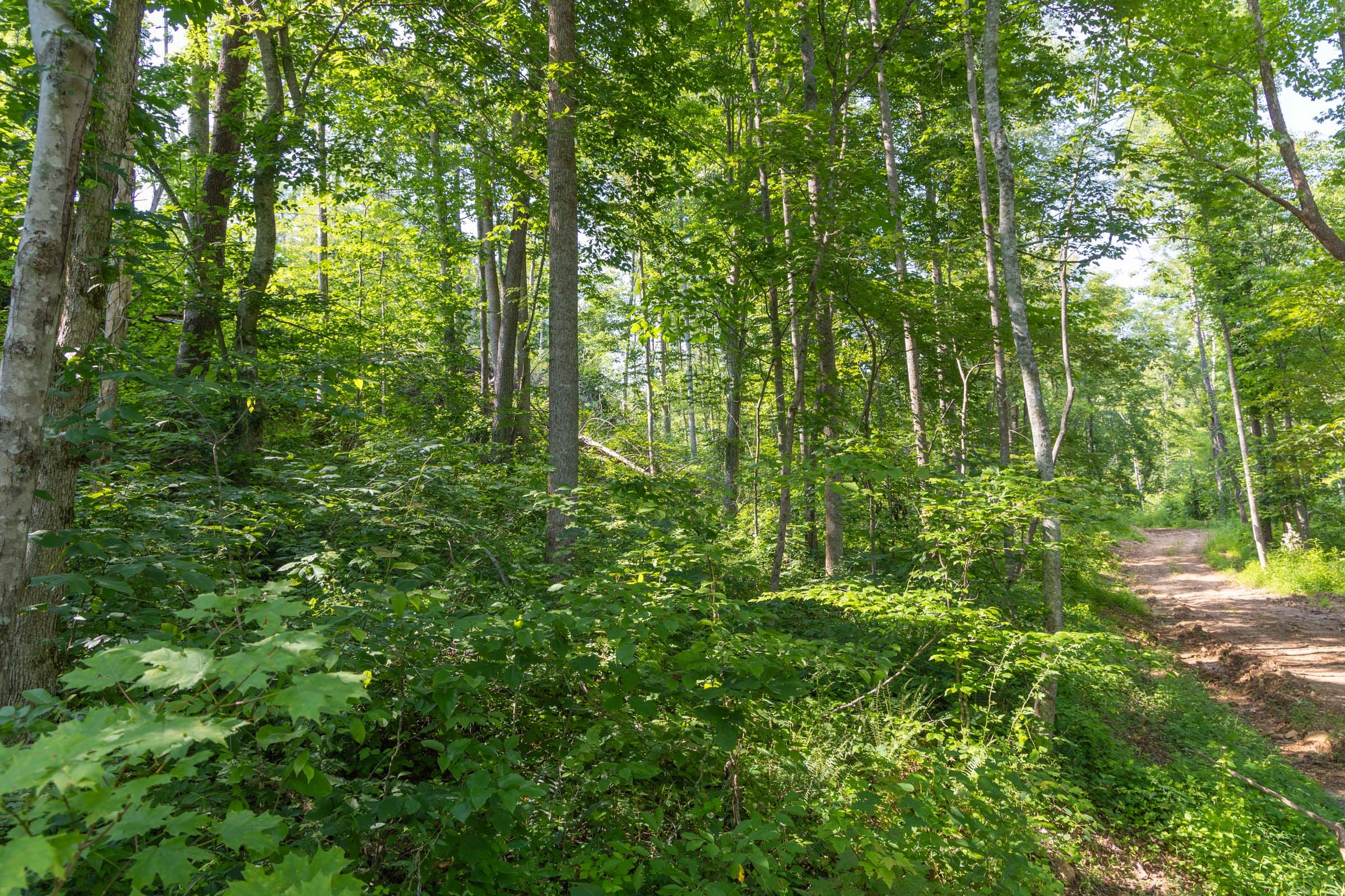 Creek Hollow Phase II Tract 80 photo 15
