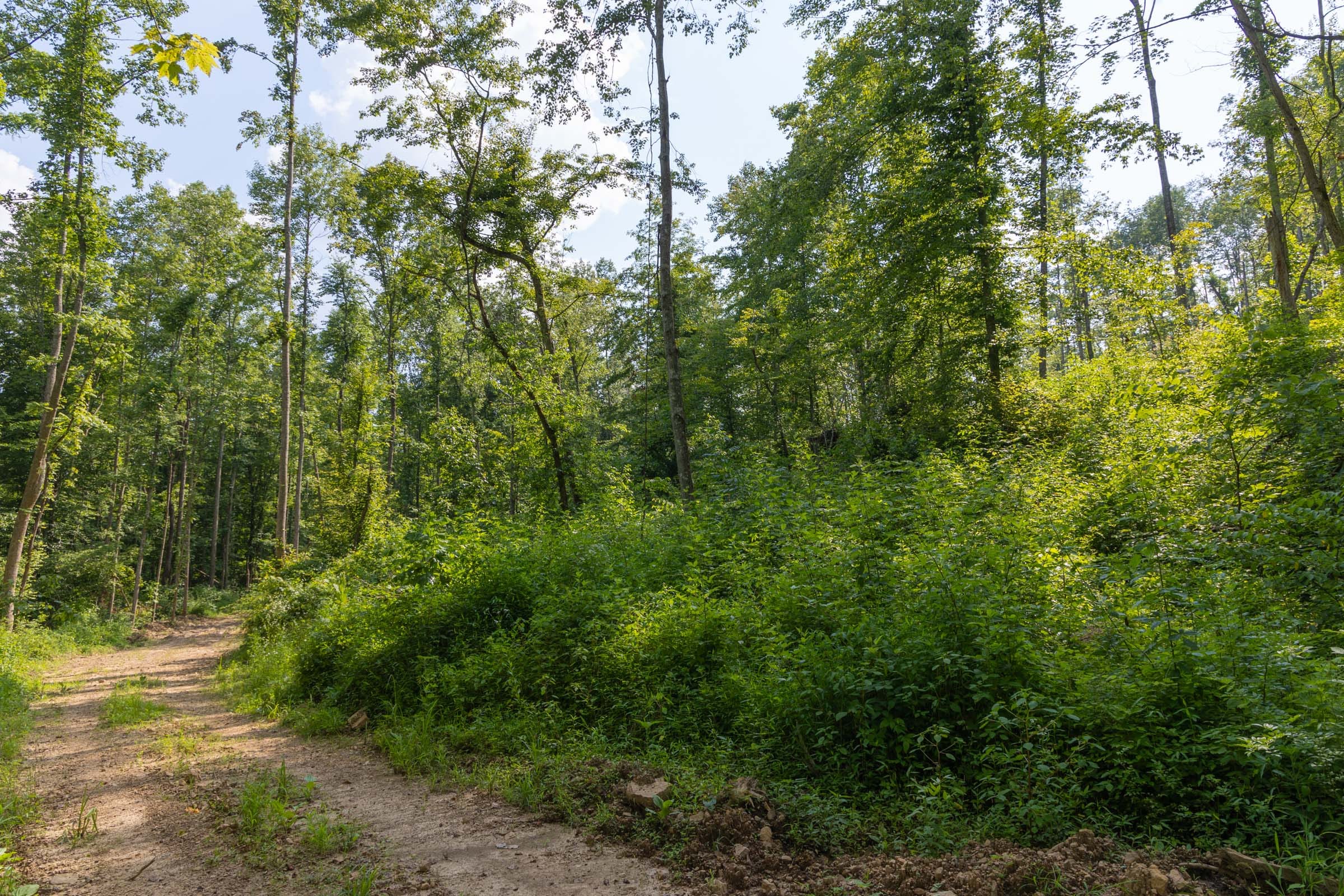 Creek Hollow Phase II Tract 80 photo 14