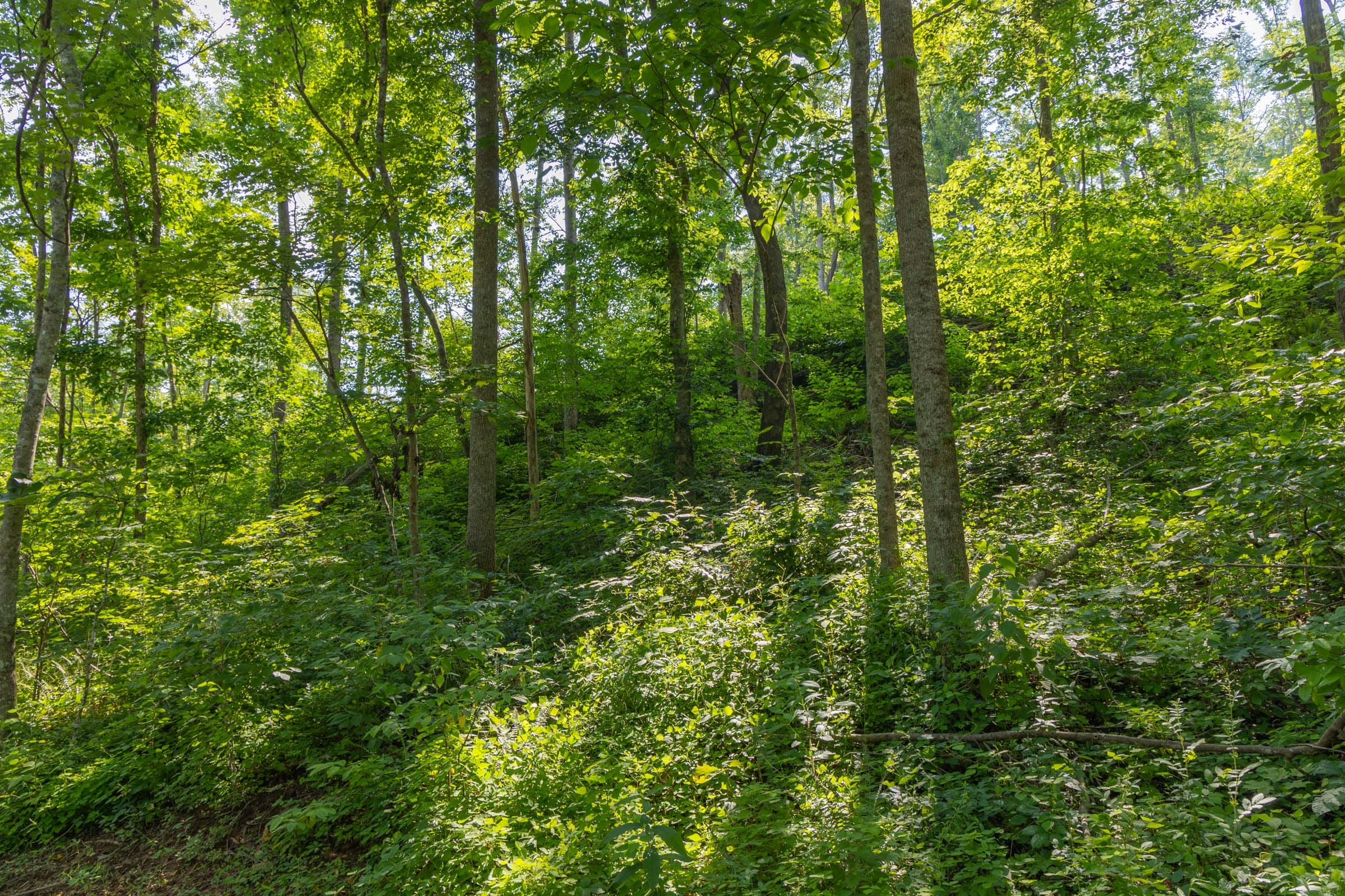 Creek Hollow Phase II Tract 80 photo 1