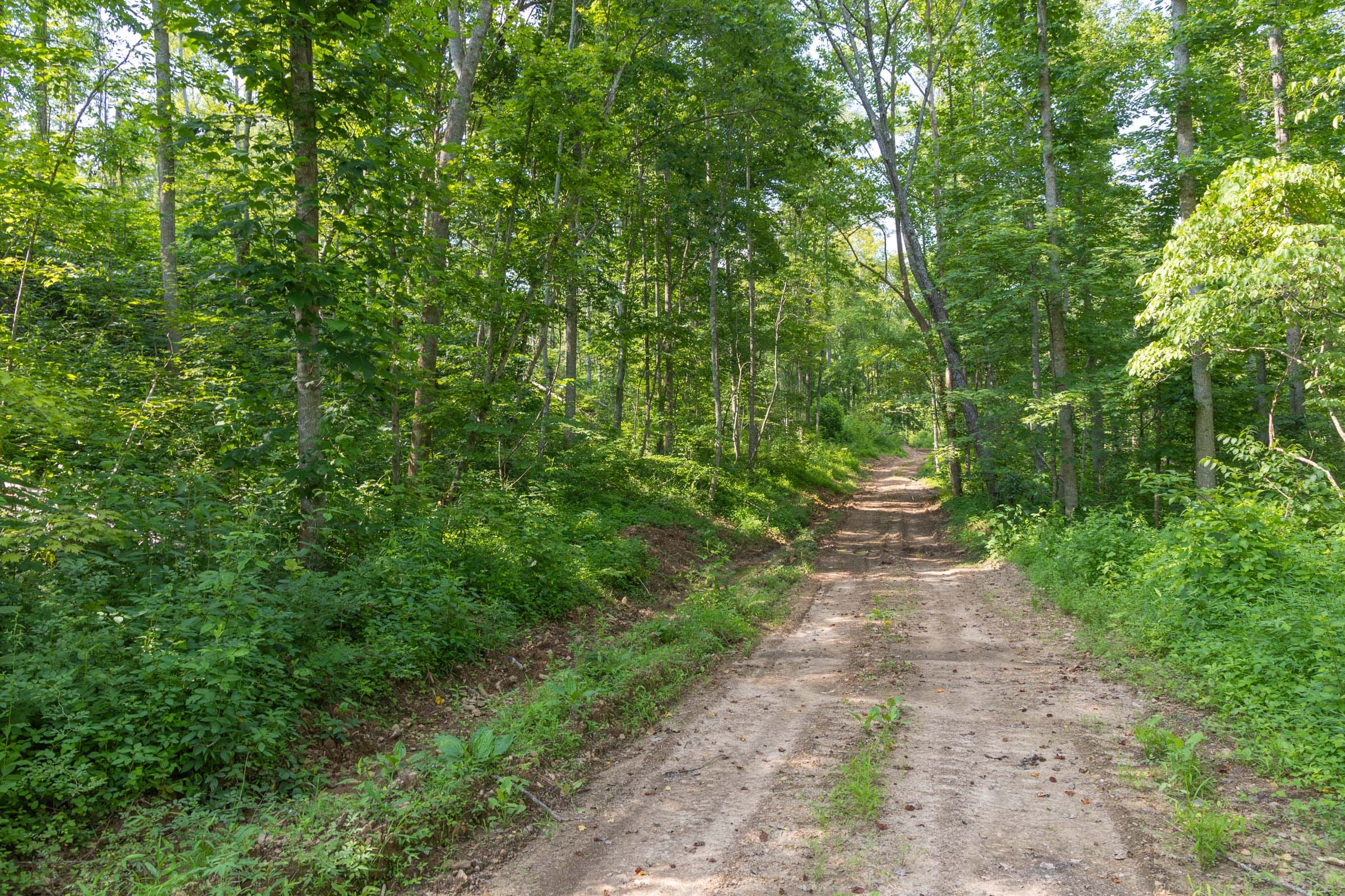 Creek Hollow Phase II Tract 80 photo 3