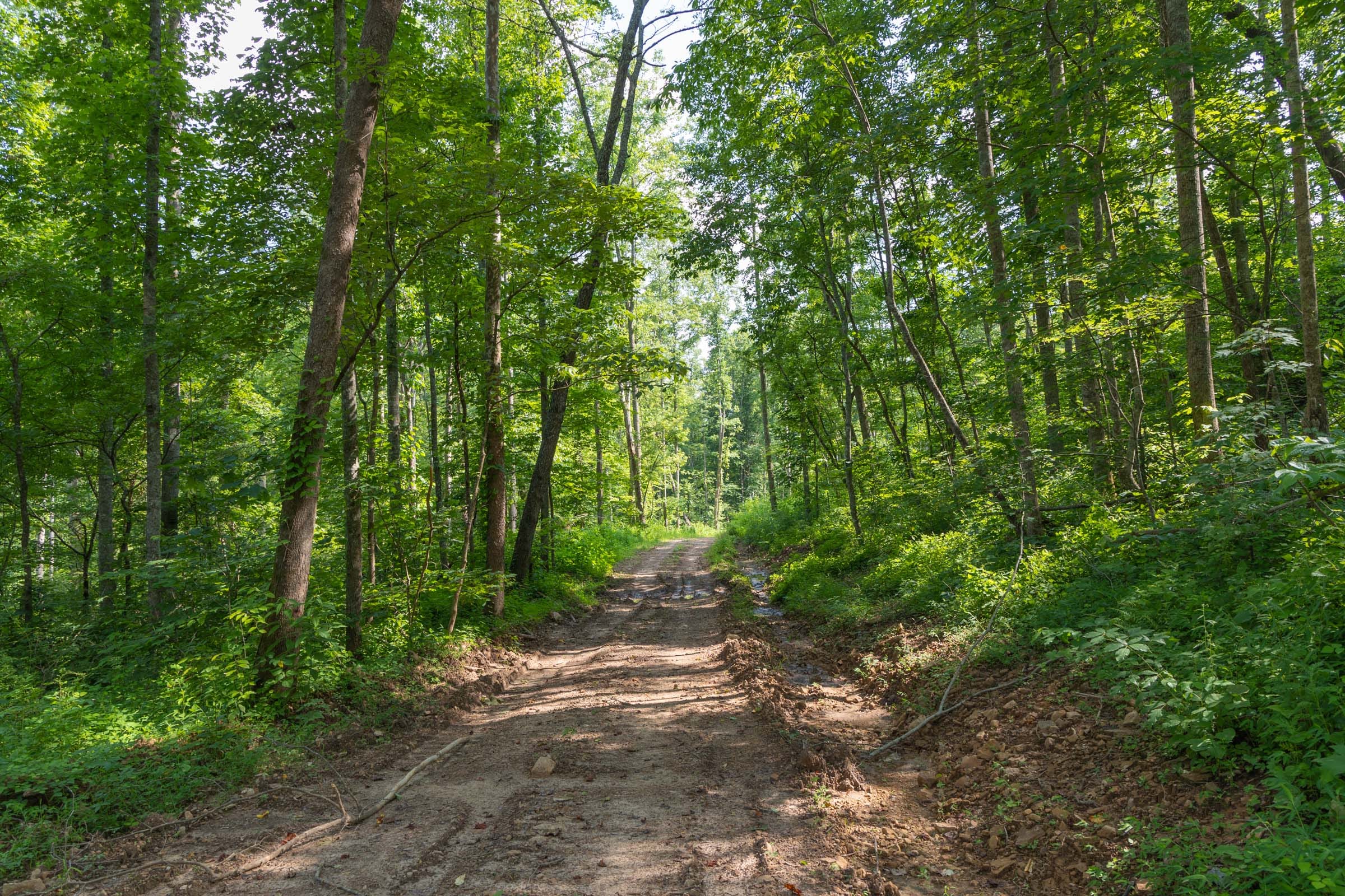 Creek Hollow Phase II Tract 80 photo 10