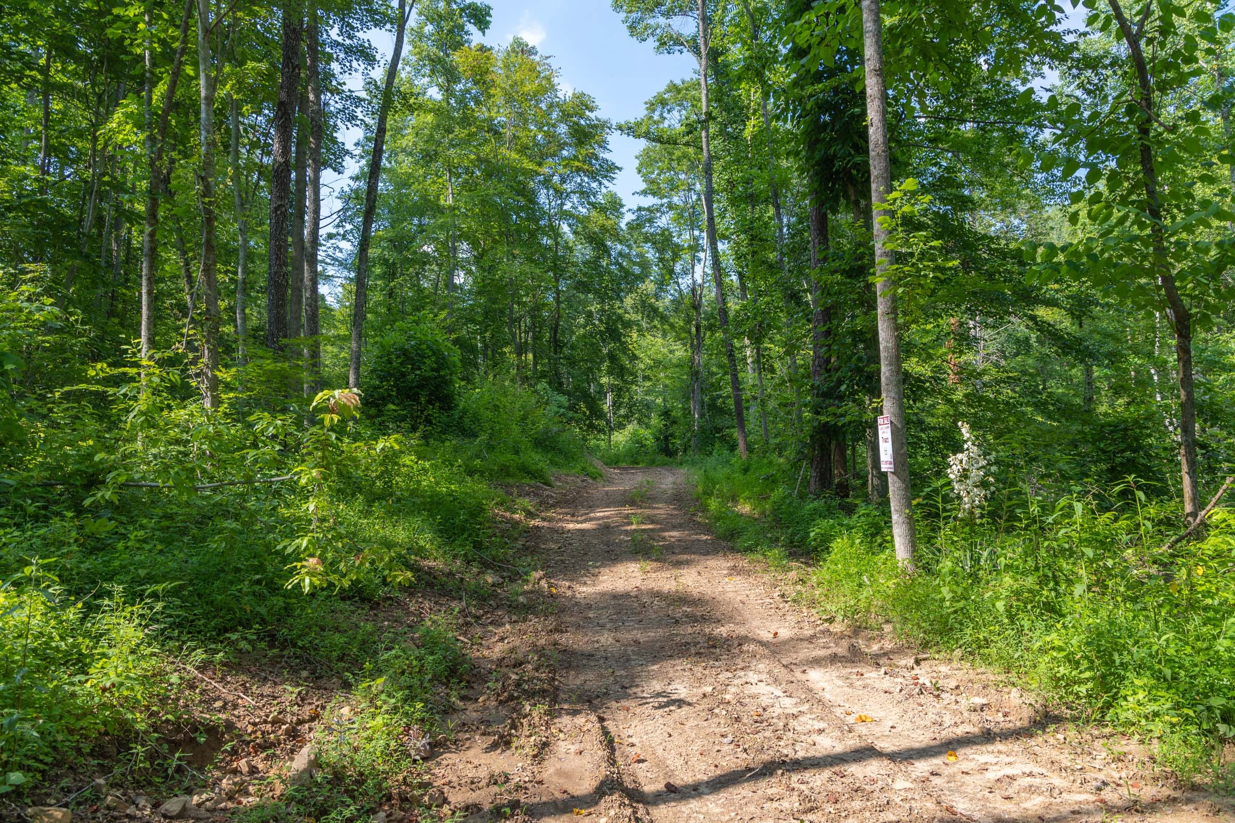 Creek Hollow Phase II Tract 80 photo 9