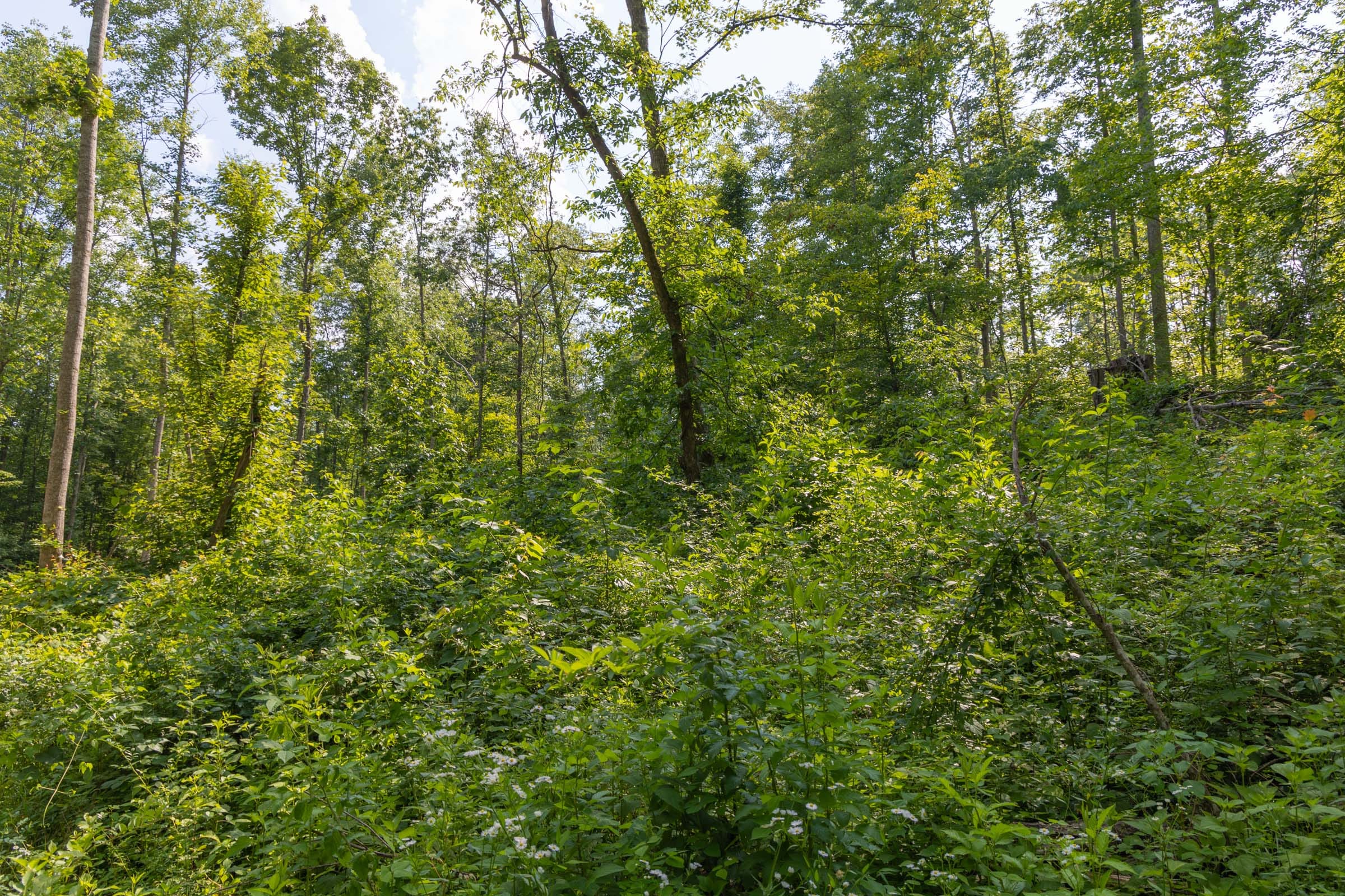 Creek Hollow Phase II Tract 80 photo 8
