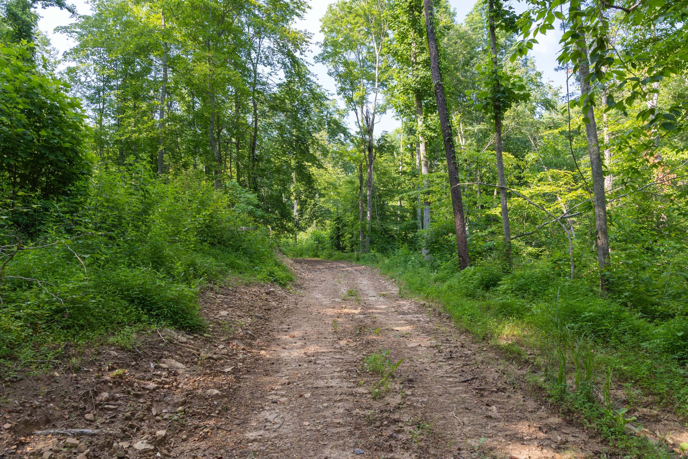Creek Hollow Phase II Tract 80 photo 2
