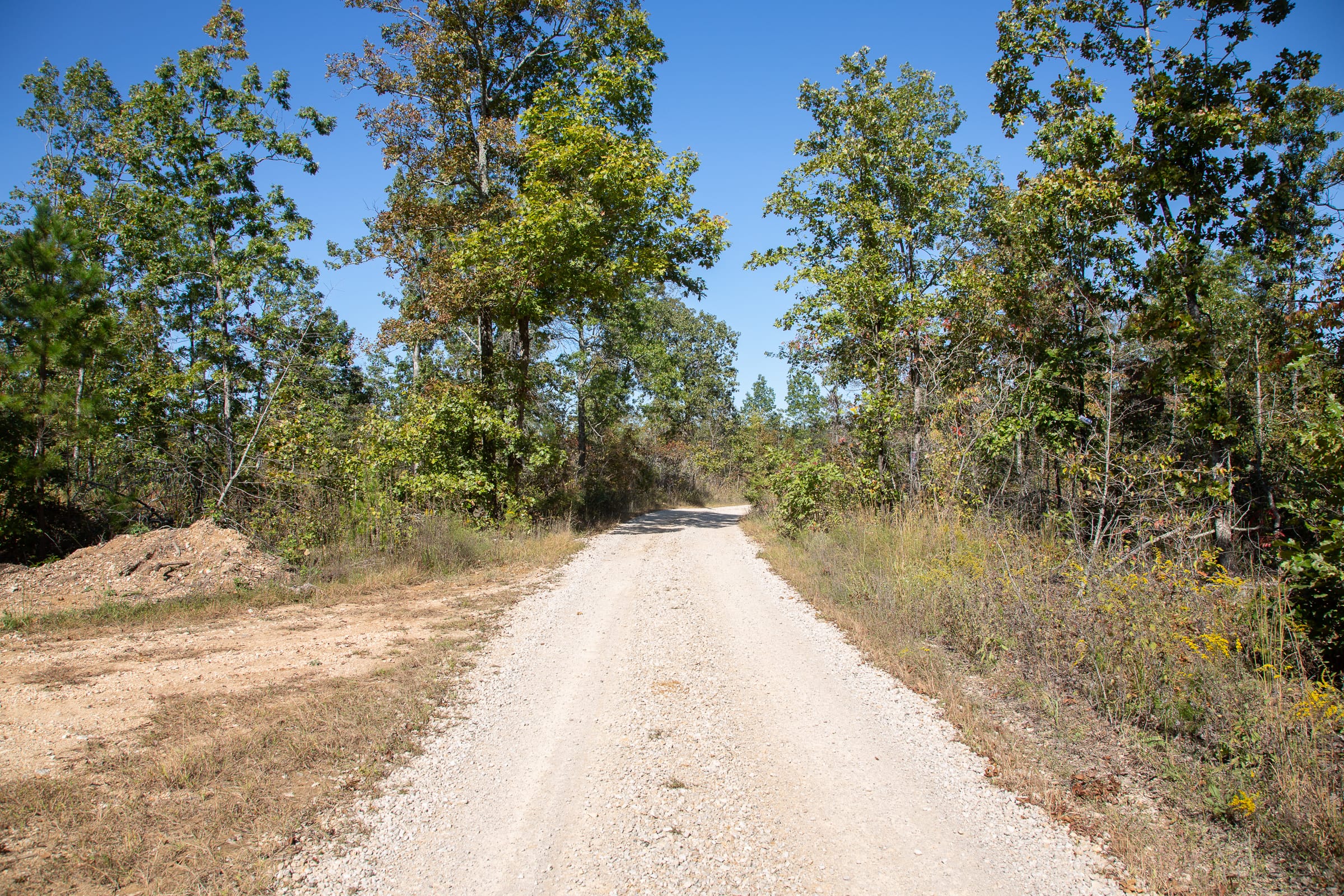 Borgmann’s Hollow Phase III Tract 98 photo 1