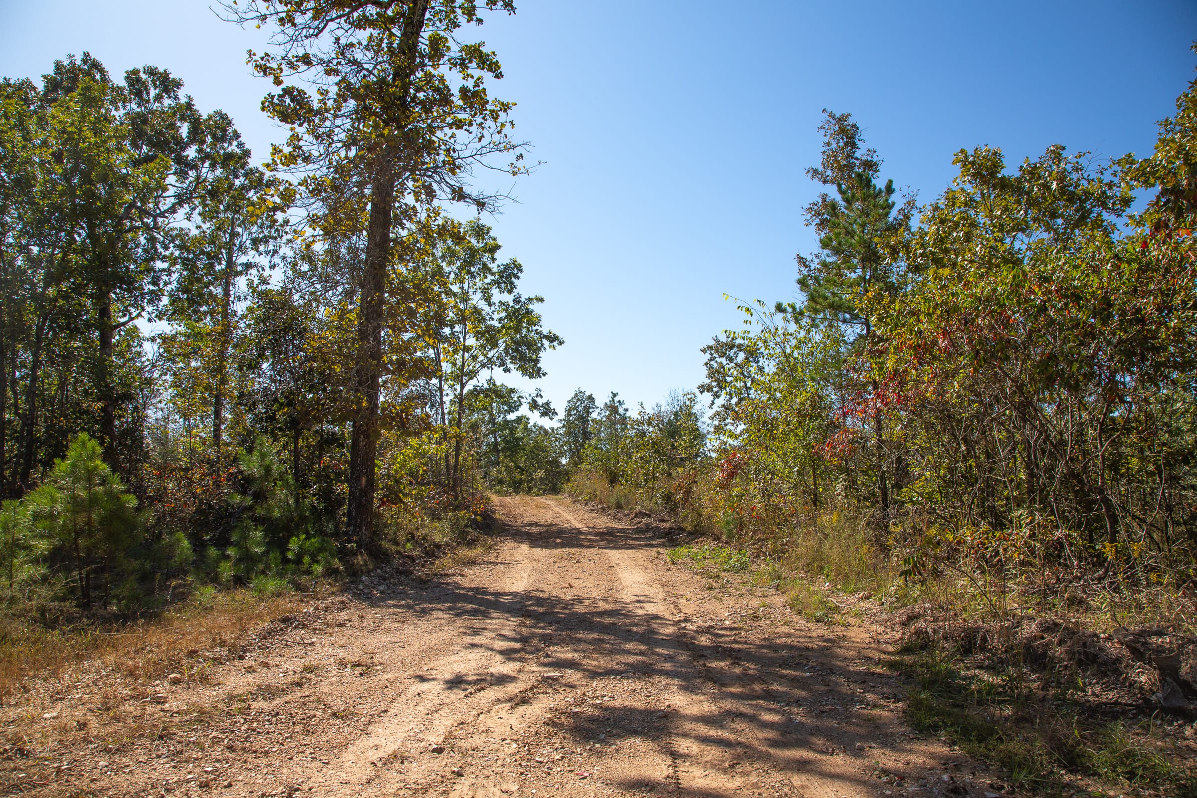Borgmann’s Hollow Phase III Tract 98 photo 10