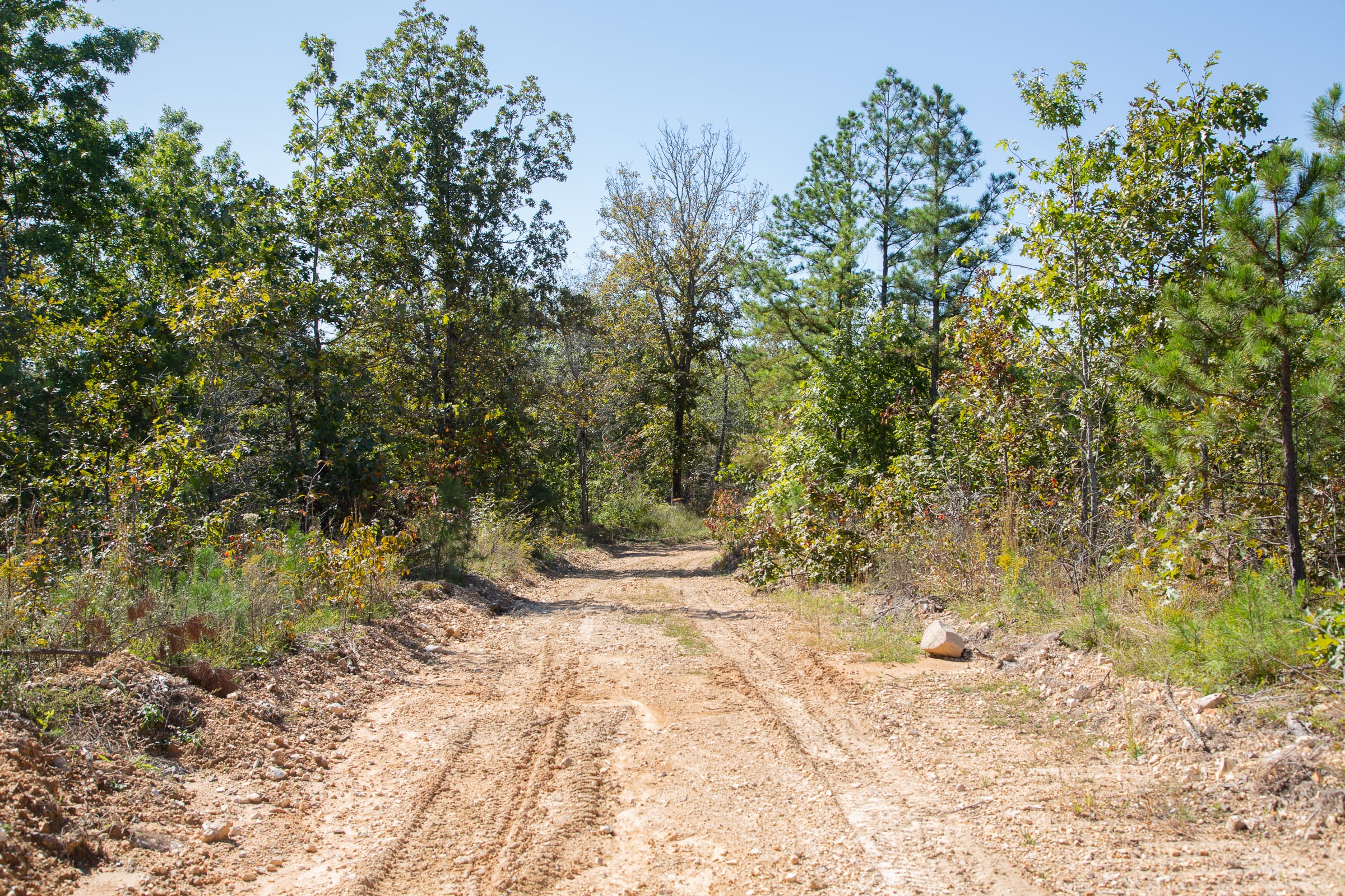 Borgmann’s Hollow Phase III Tract 98 photo 5