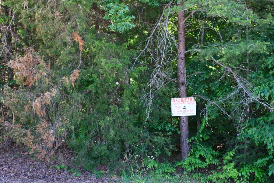 Hickory Hill Ranch Tract 4 photo 1