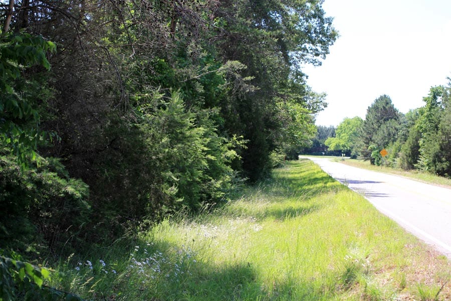 Hickory Hill Ranch Tract 4 photo 13