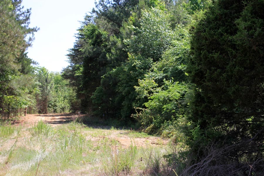 Hickory Hill Ranch Tract 4 photo 14