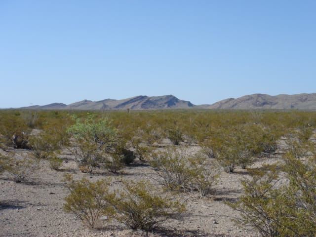 El Paso Ranches Tract 4 photo 16