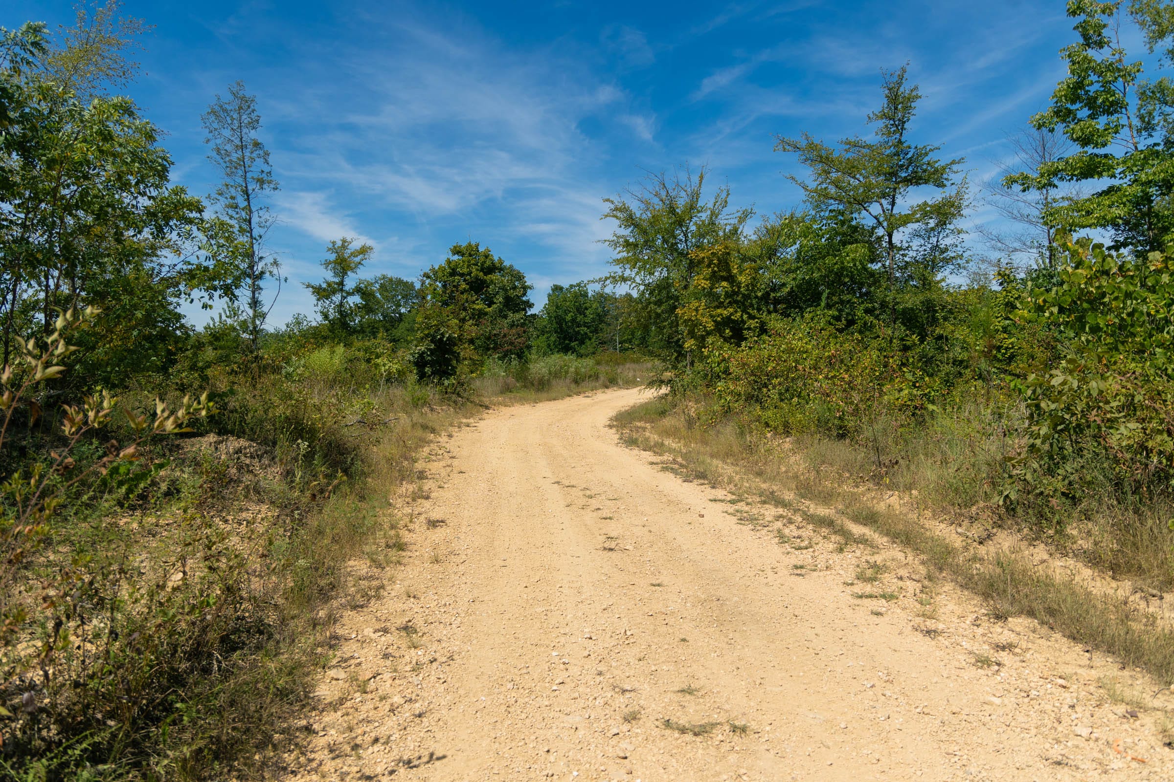 Big White Oak Tract 49 photo 5