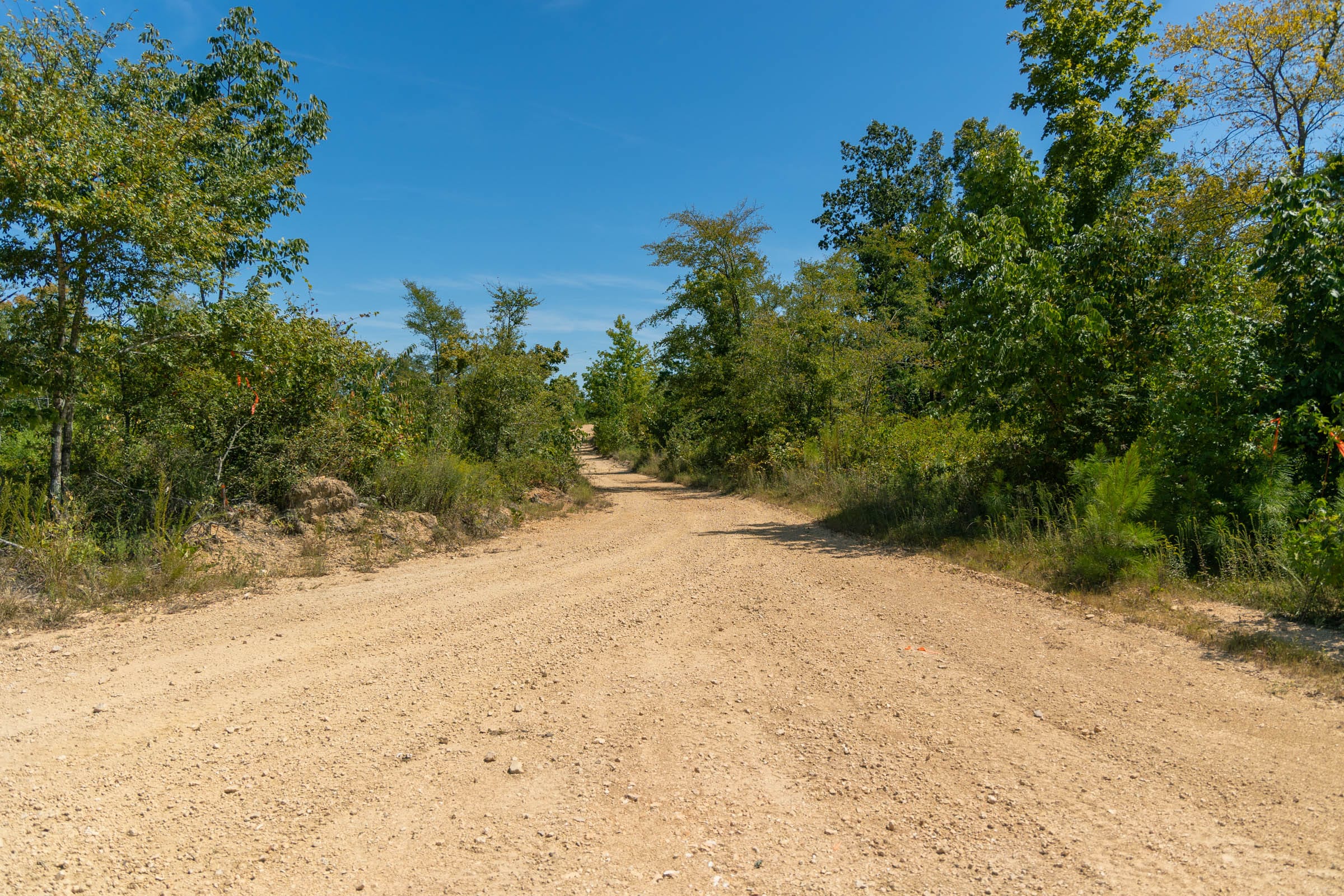Big White Oak Tract 49 photo 1