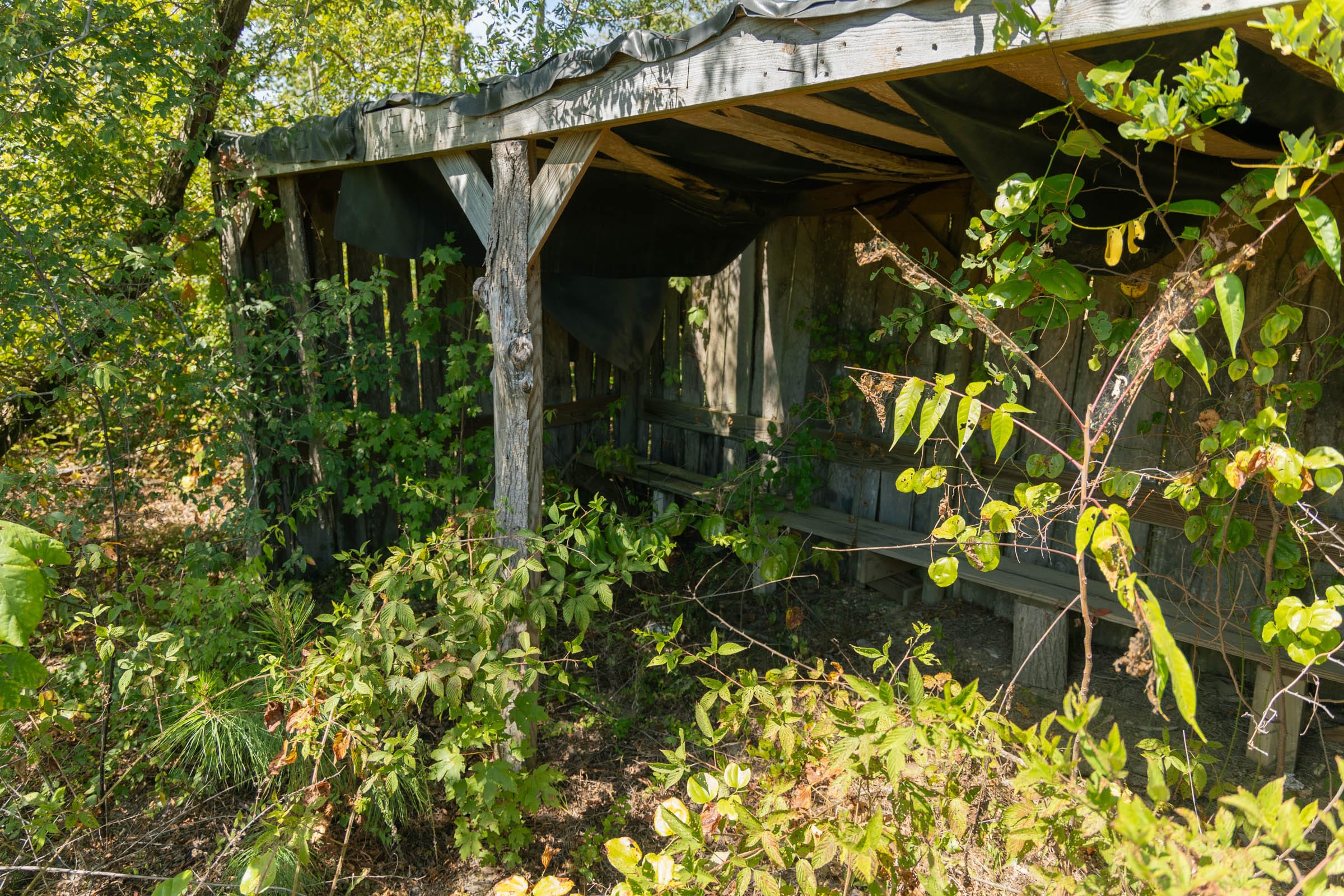 Big White Oak Tract 49 photo 2