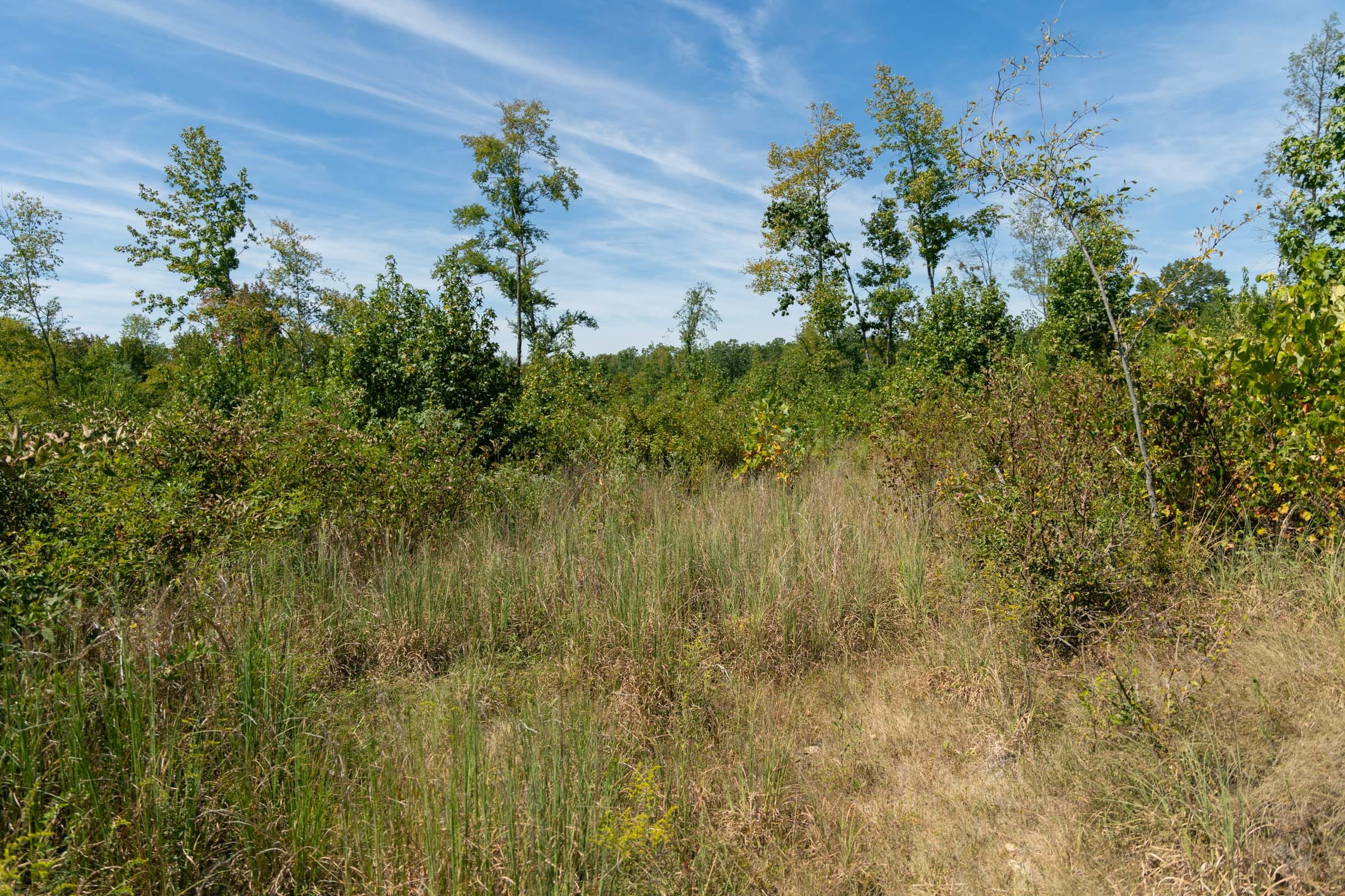 Big White Oak Tract 49 photo 9