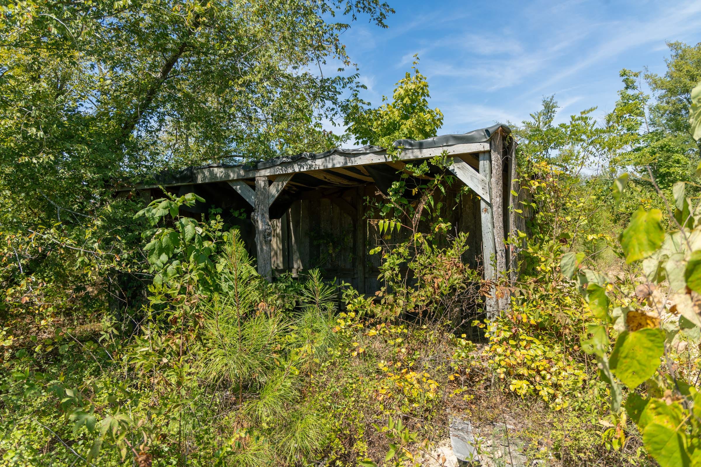 Big White Oak Tract 49 photo 7
