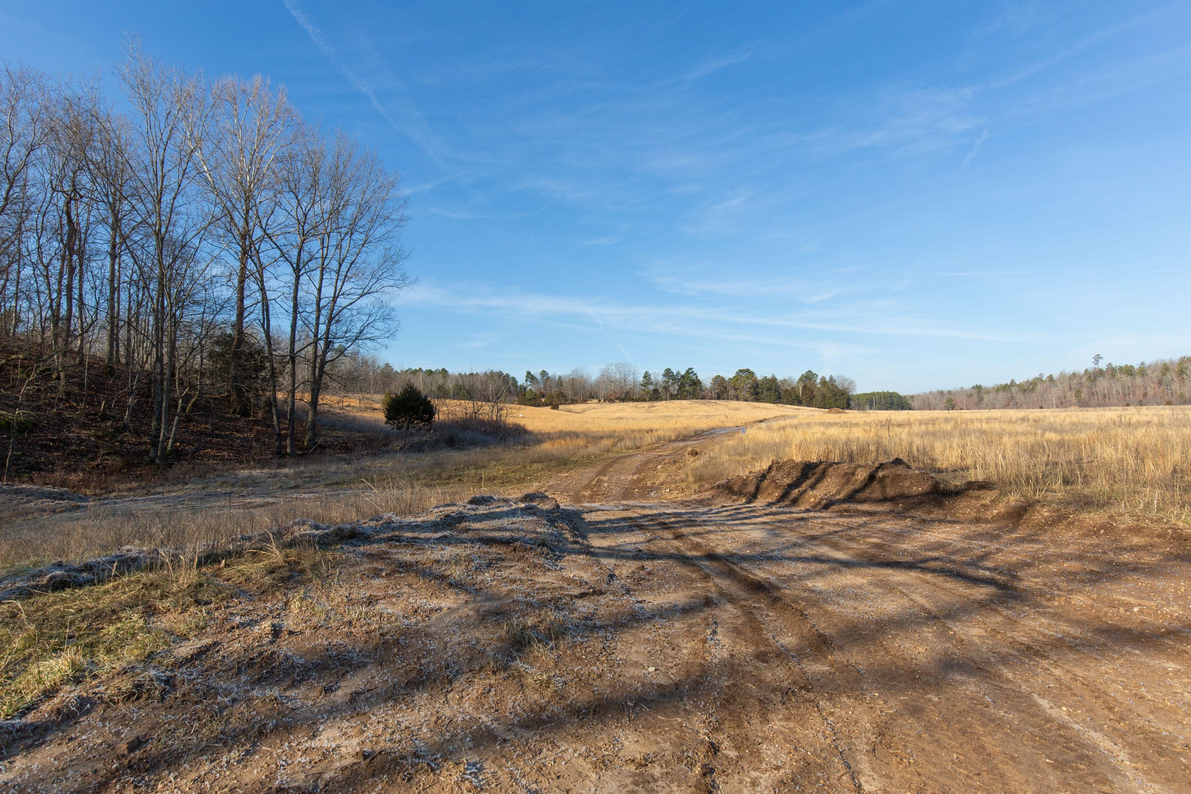 O’Connor Crossing Tract 31 photo 22