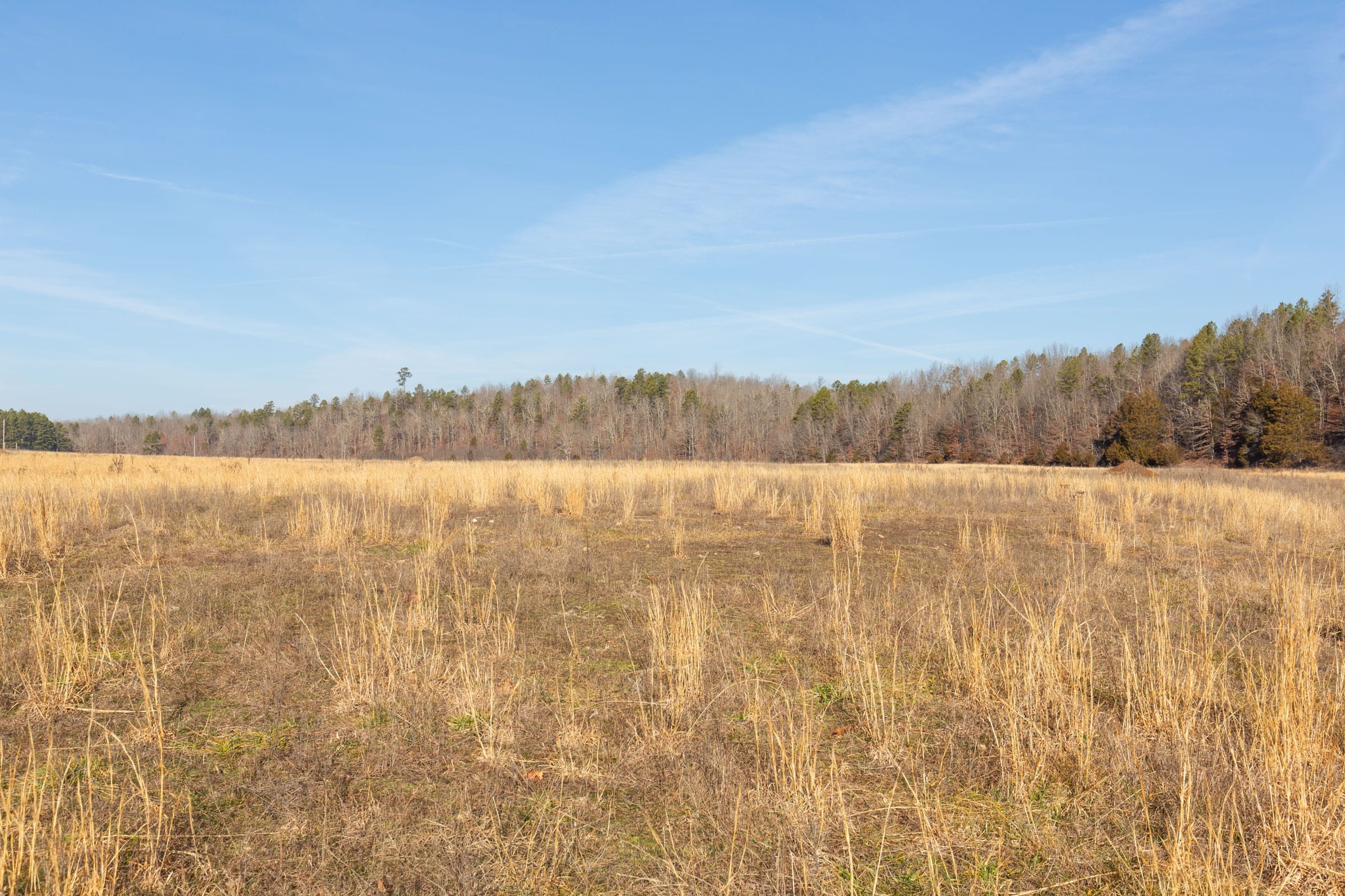 O’Connor Crossing Tract 31 photo 5