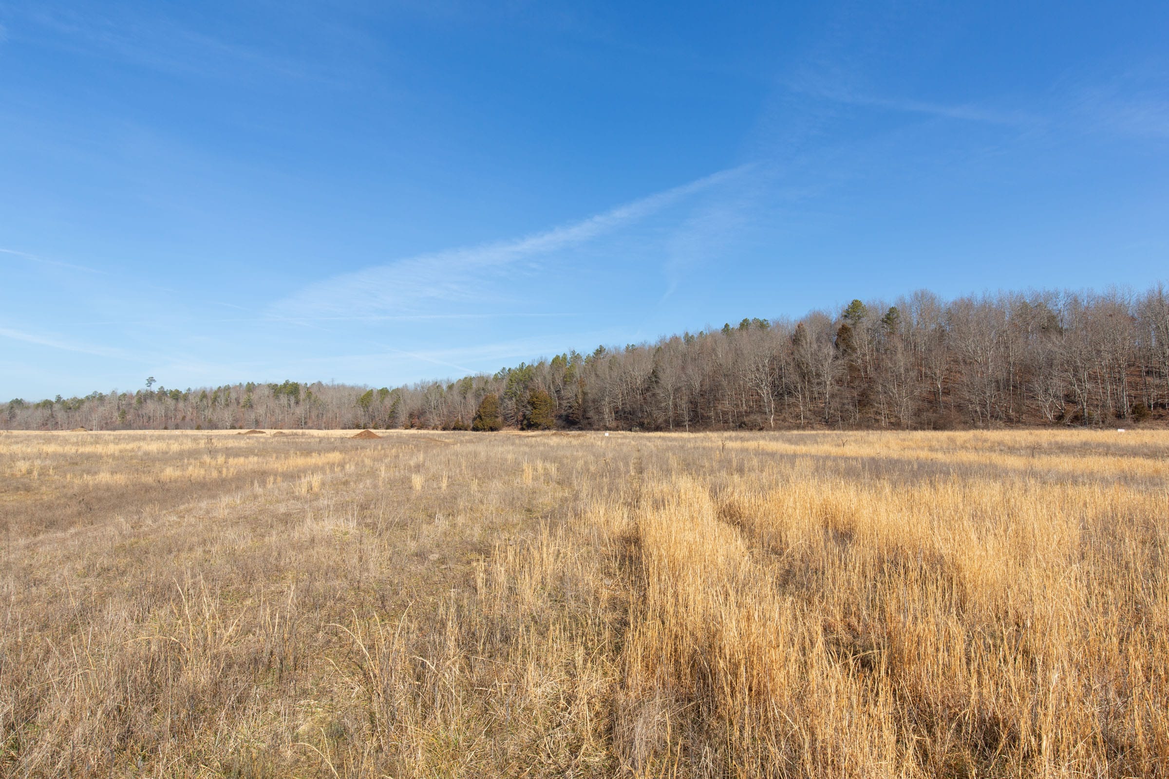 O’Connor Crossing Tract 31 photo 9