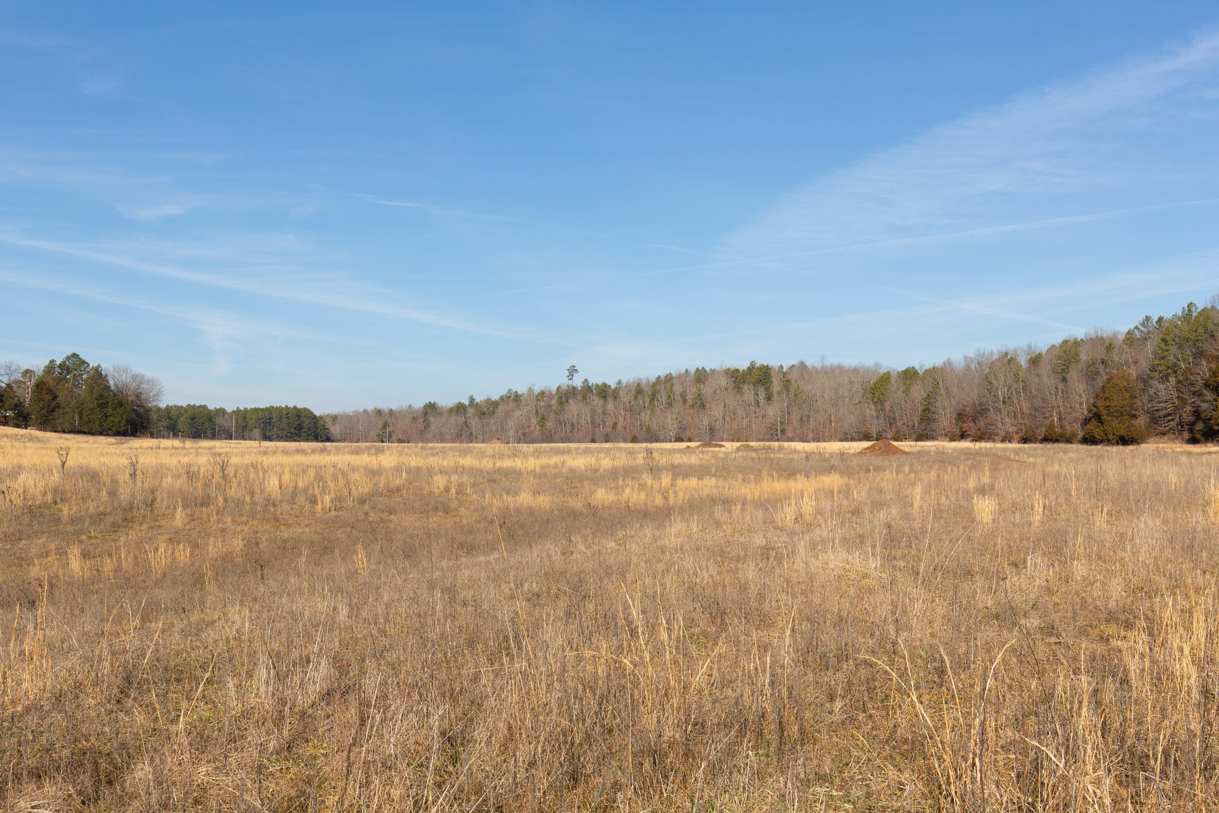 O’Connor Crossing Tract 31 photo 11