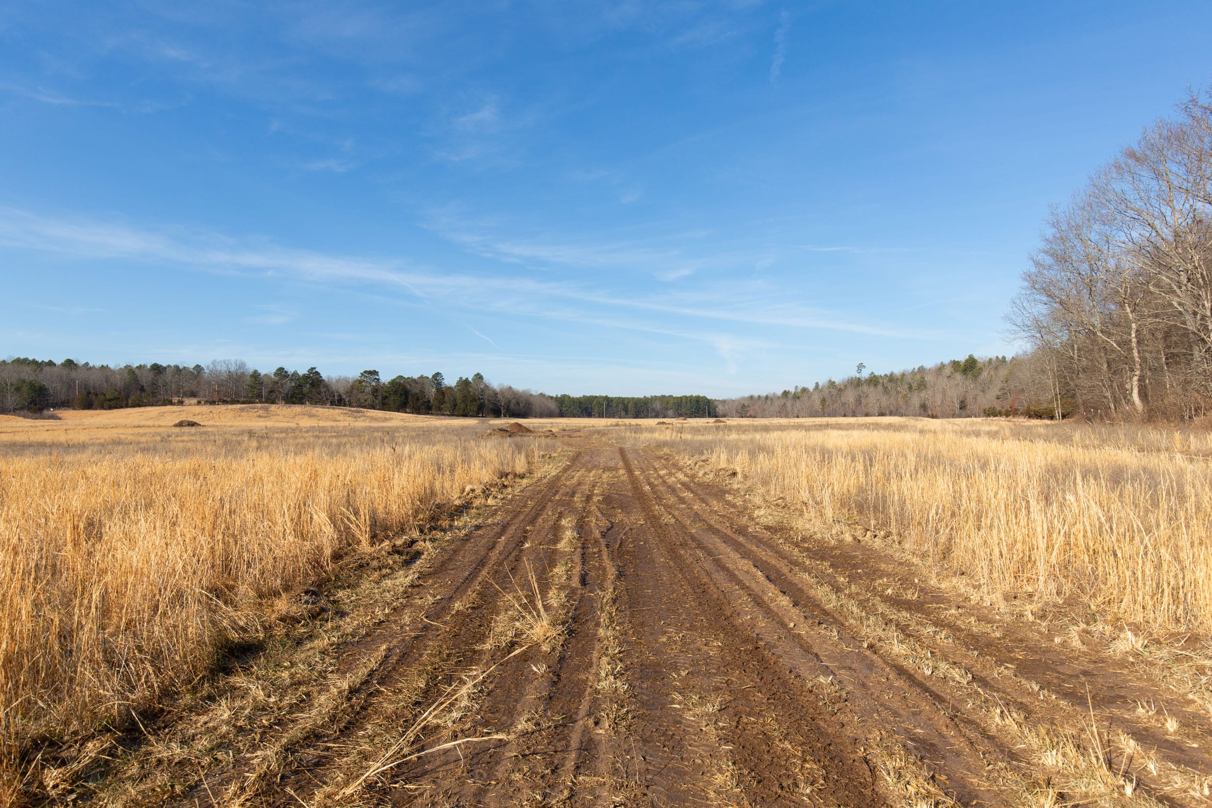 O’Connor Crossing Tract 31 photo 1
