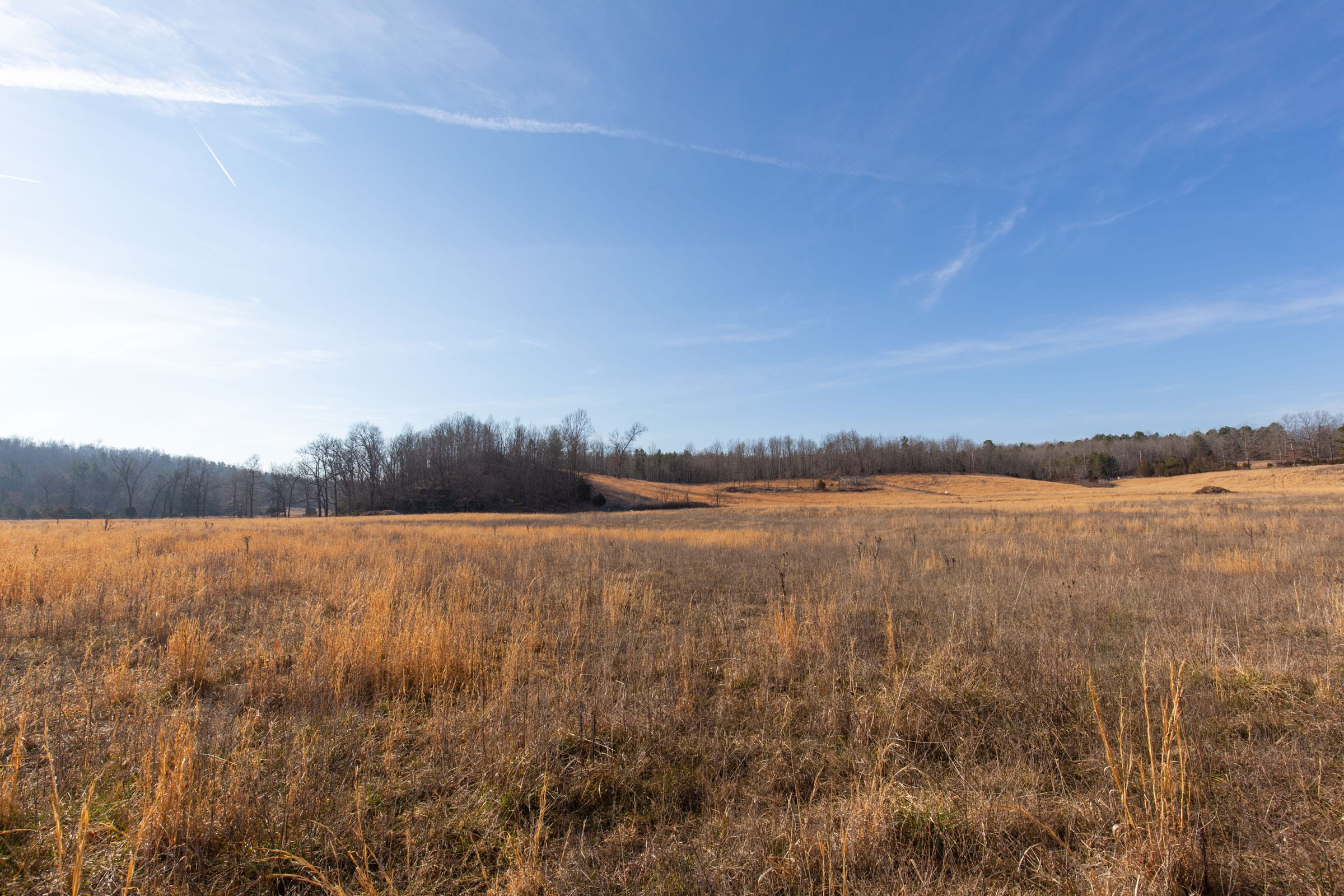 O’Connor Crossing Tract 31 photo 10