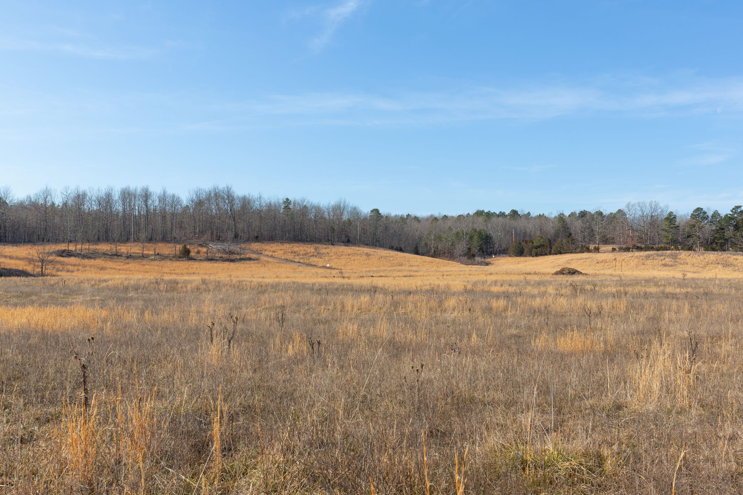 O’Connor Crossing Tract 31 photo 13