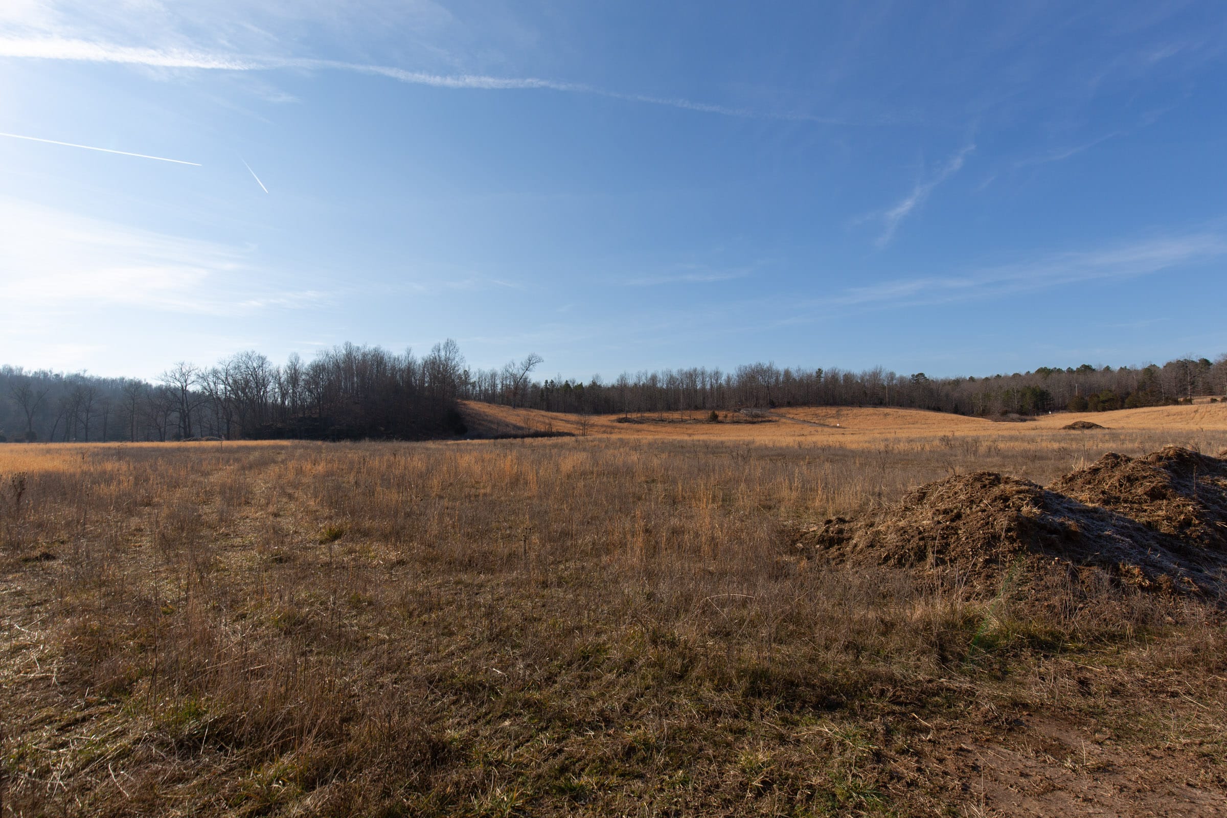 O’Connor Crossing Tract 31 photo 12
