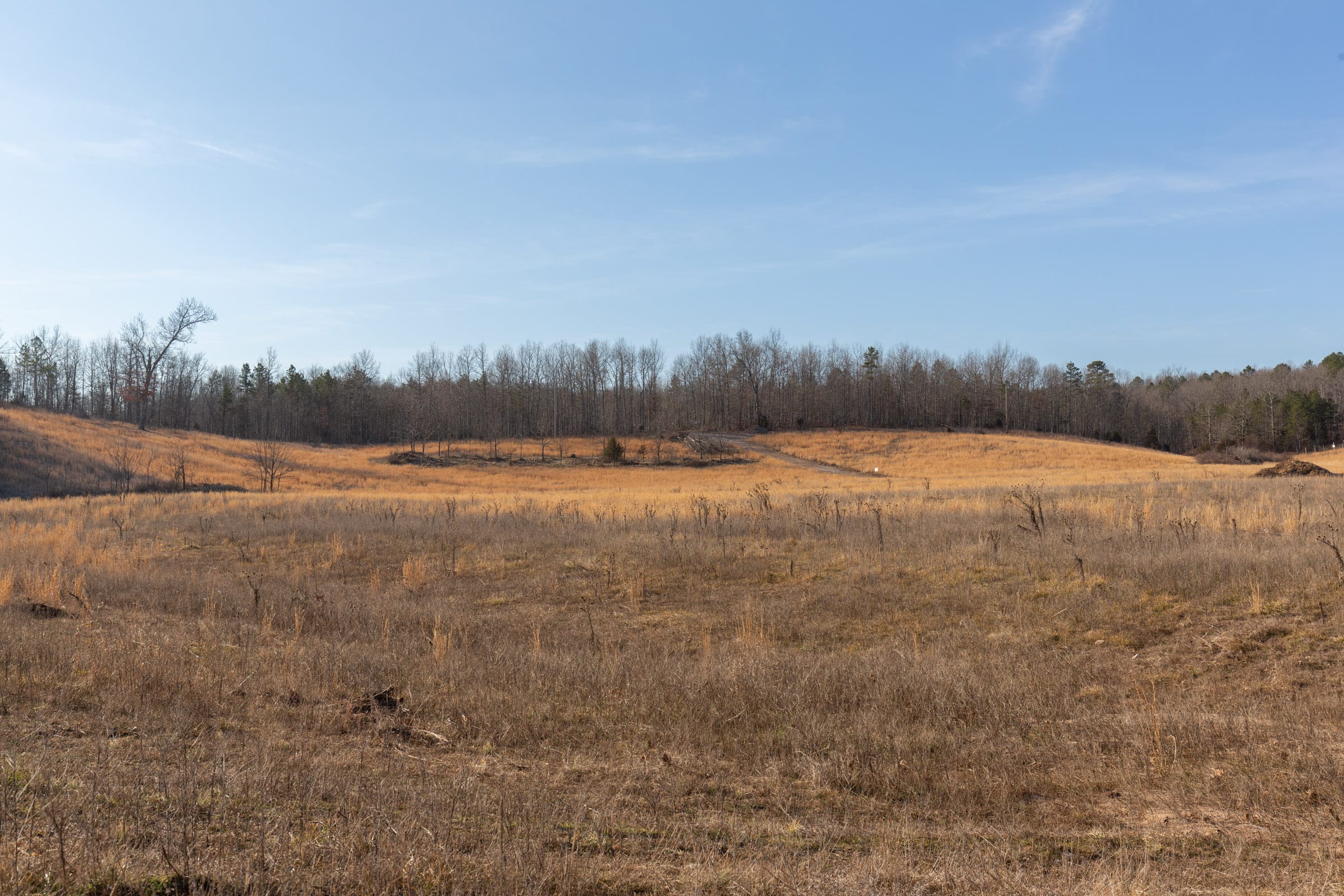 O’Connor Crossing Tract 31 photo 14
