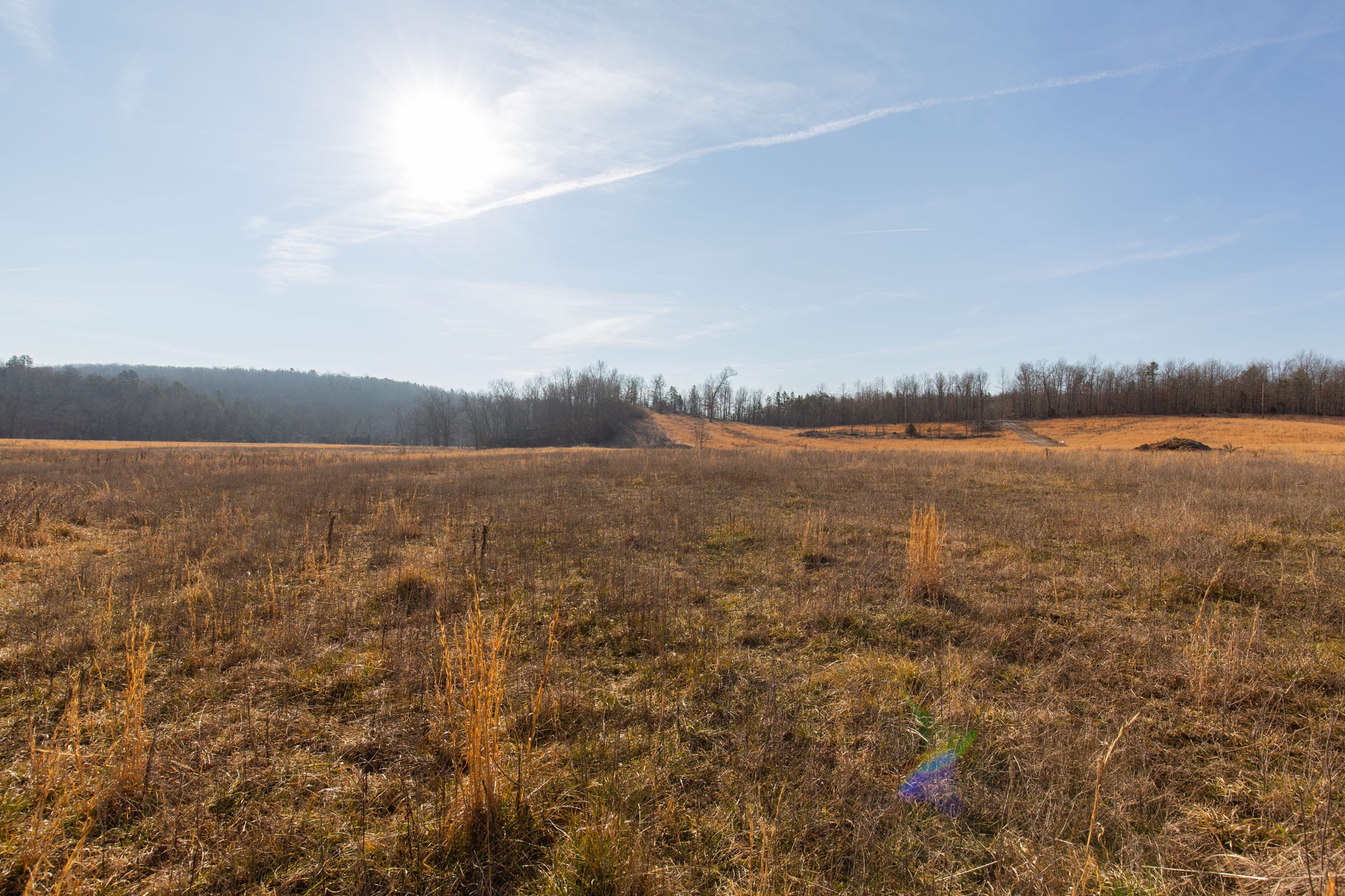 O’Connor Crossing Tract 31 photo 15