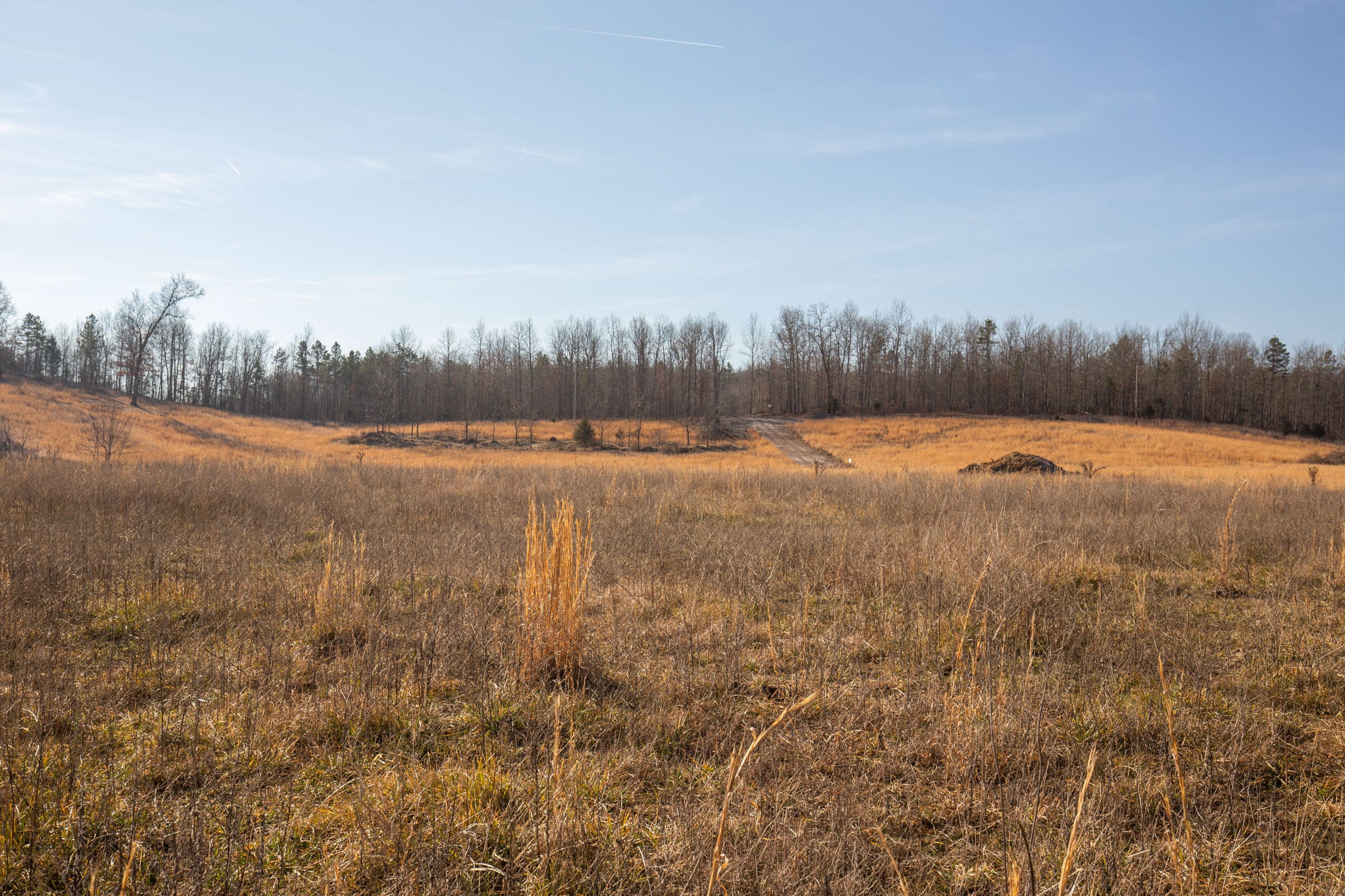 O’Connor Crossing Tract 31 photo 18